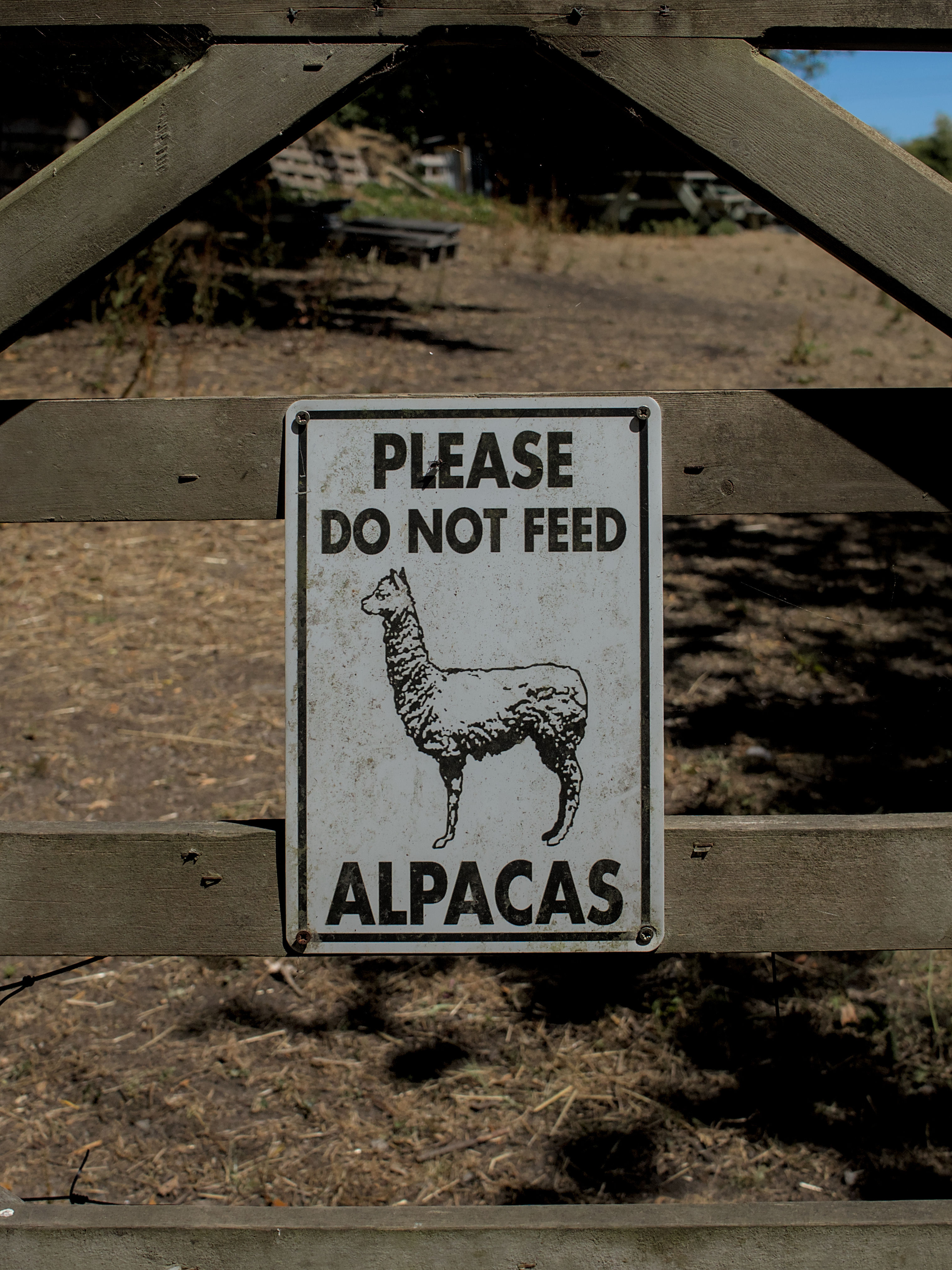 photo 00a511612879da18