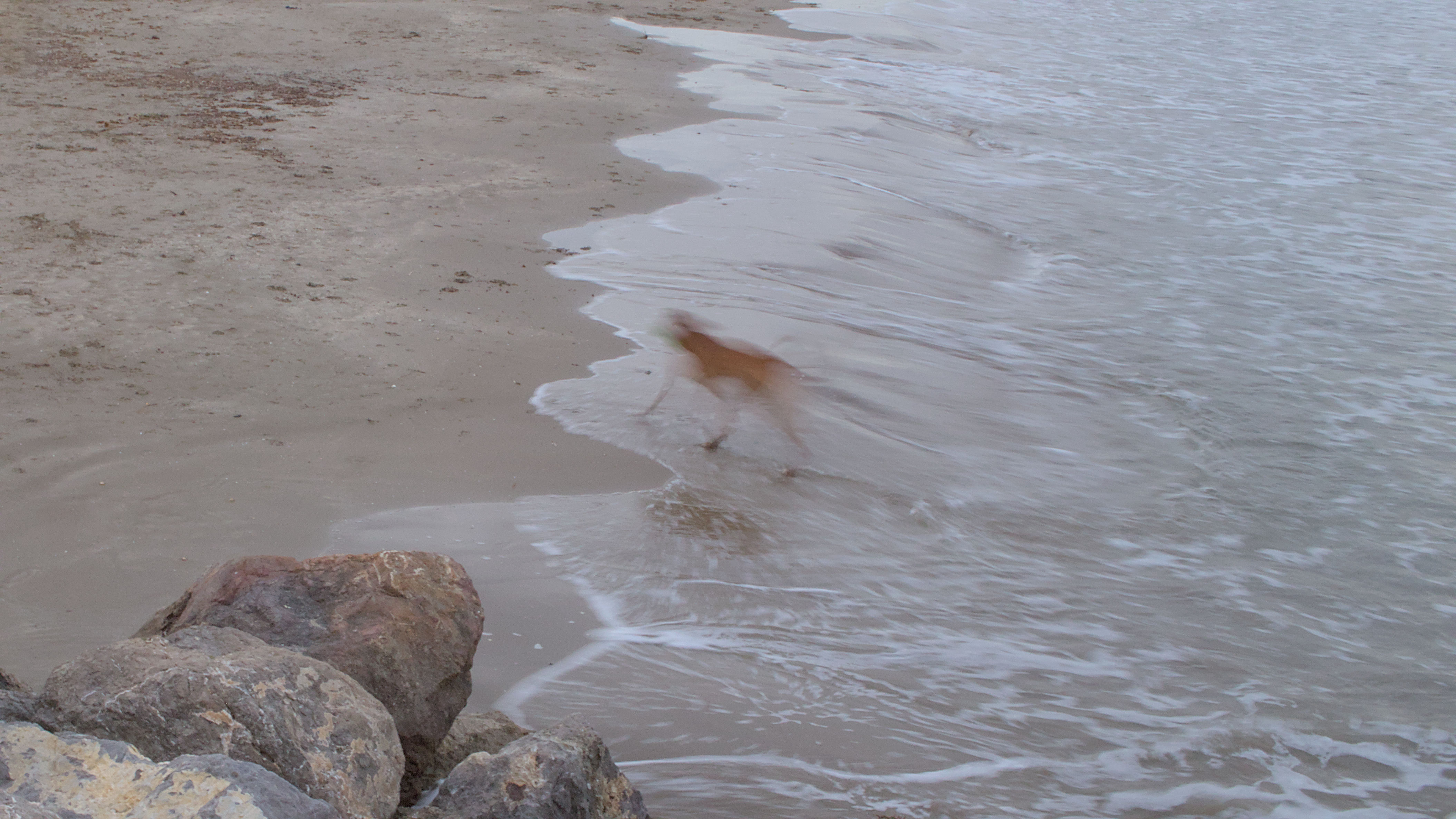 photo 055108b828d42281