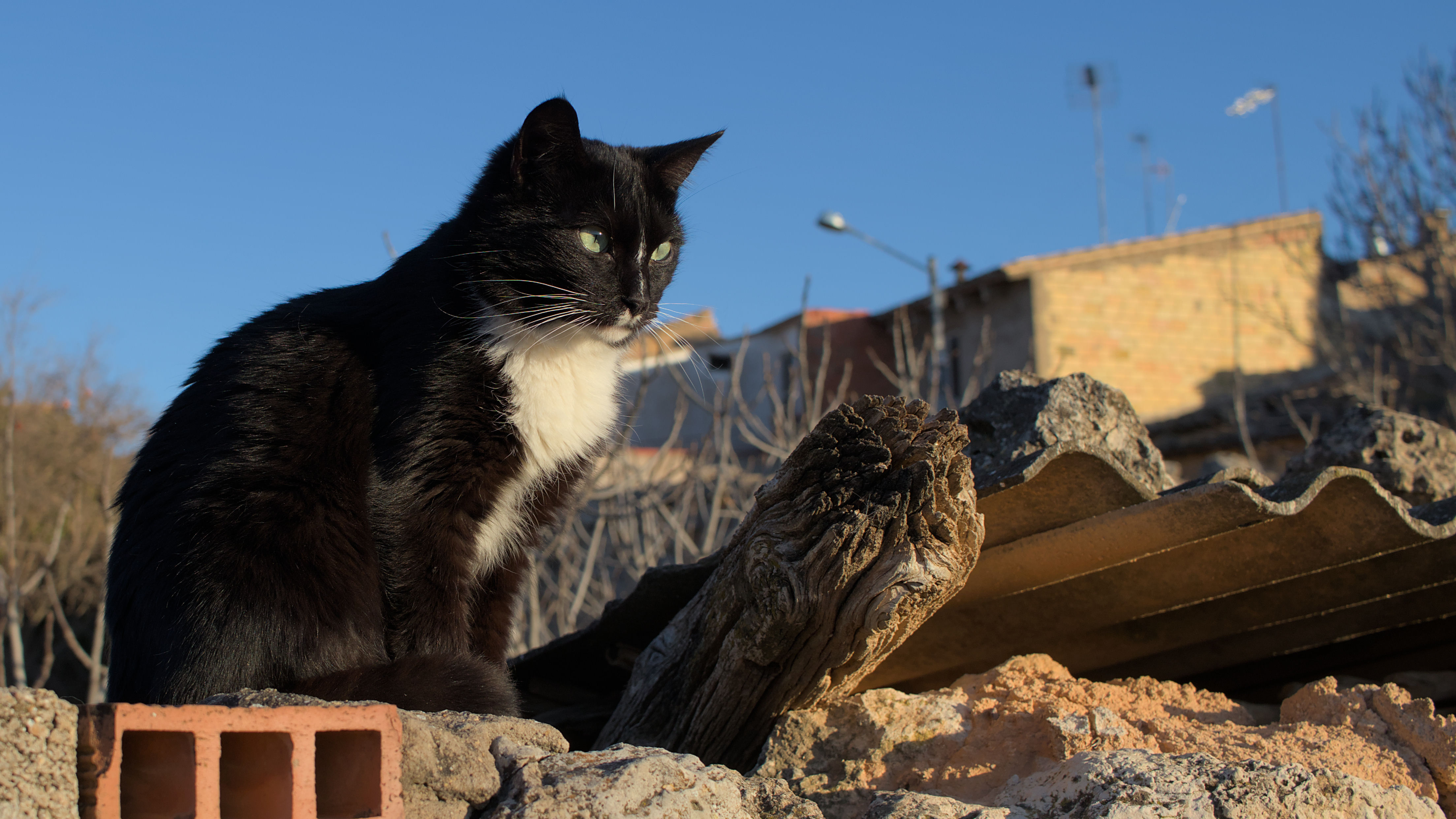 photo 058cfd40579de20f