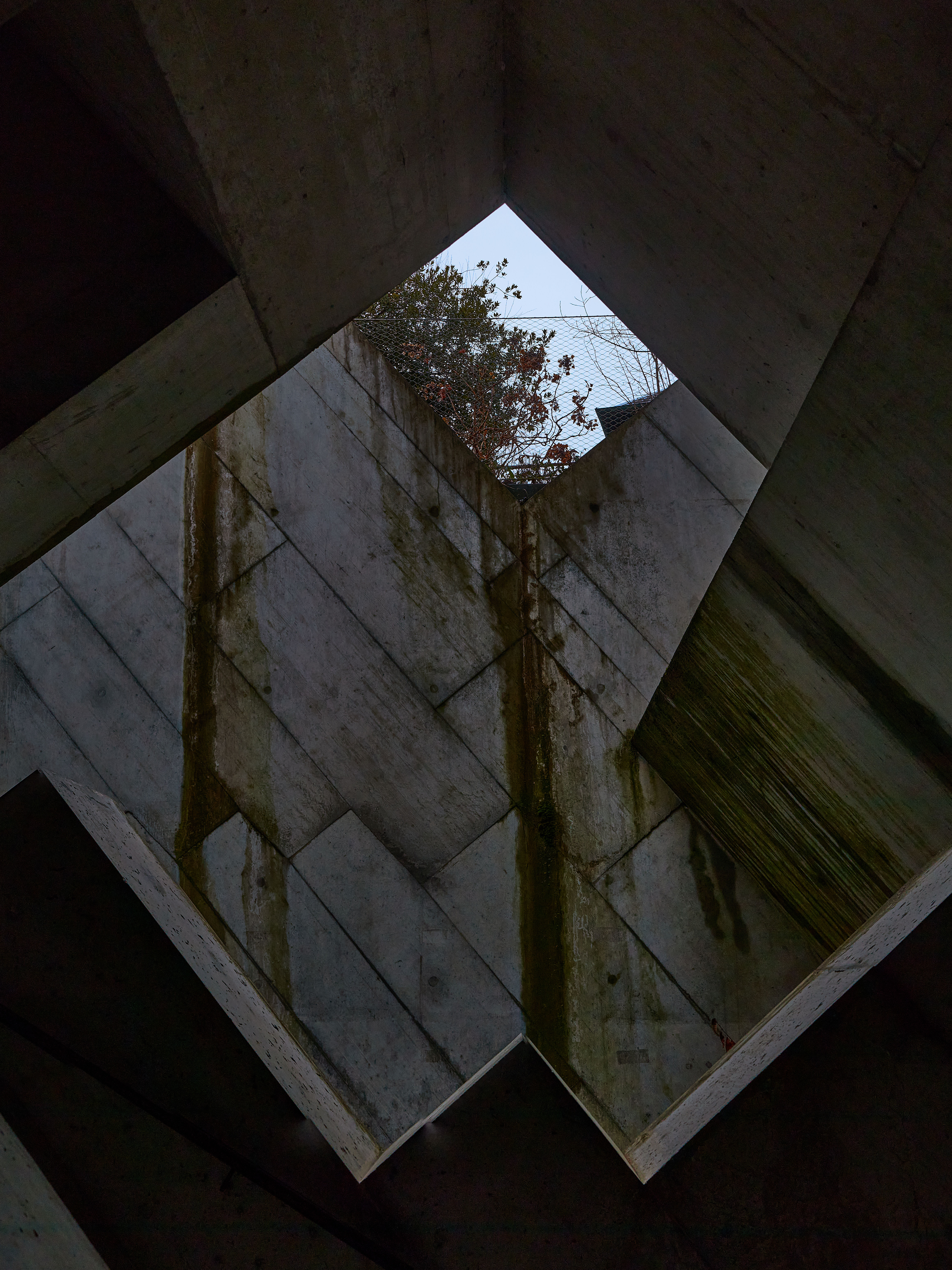 photo 0e577d17e3e2b668