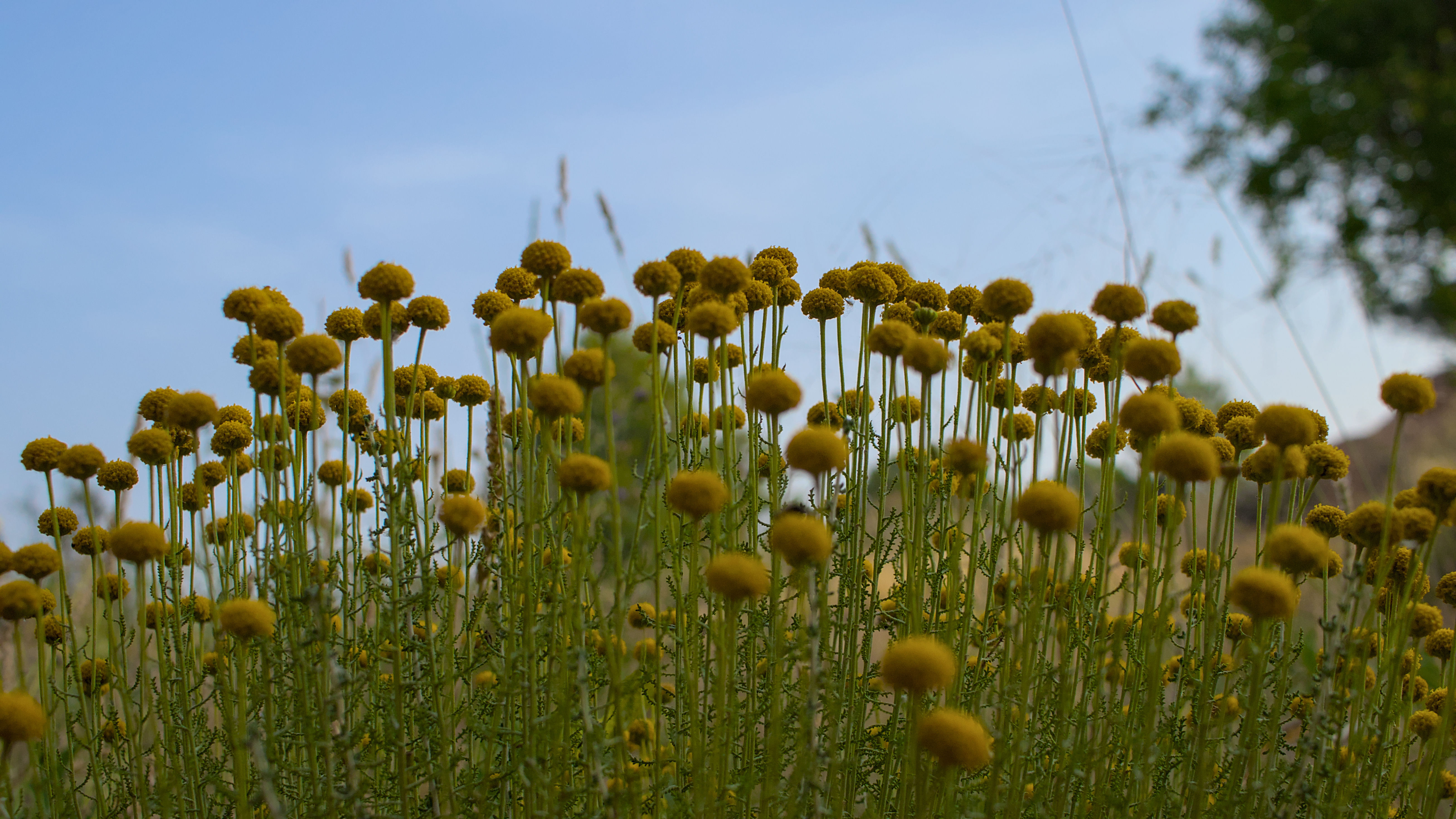 photo 0f5e7ec5c620b111