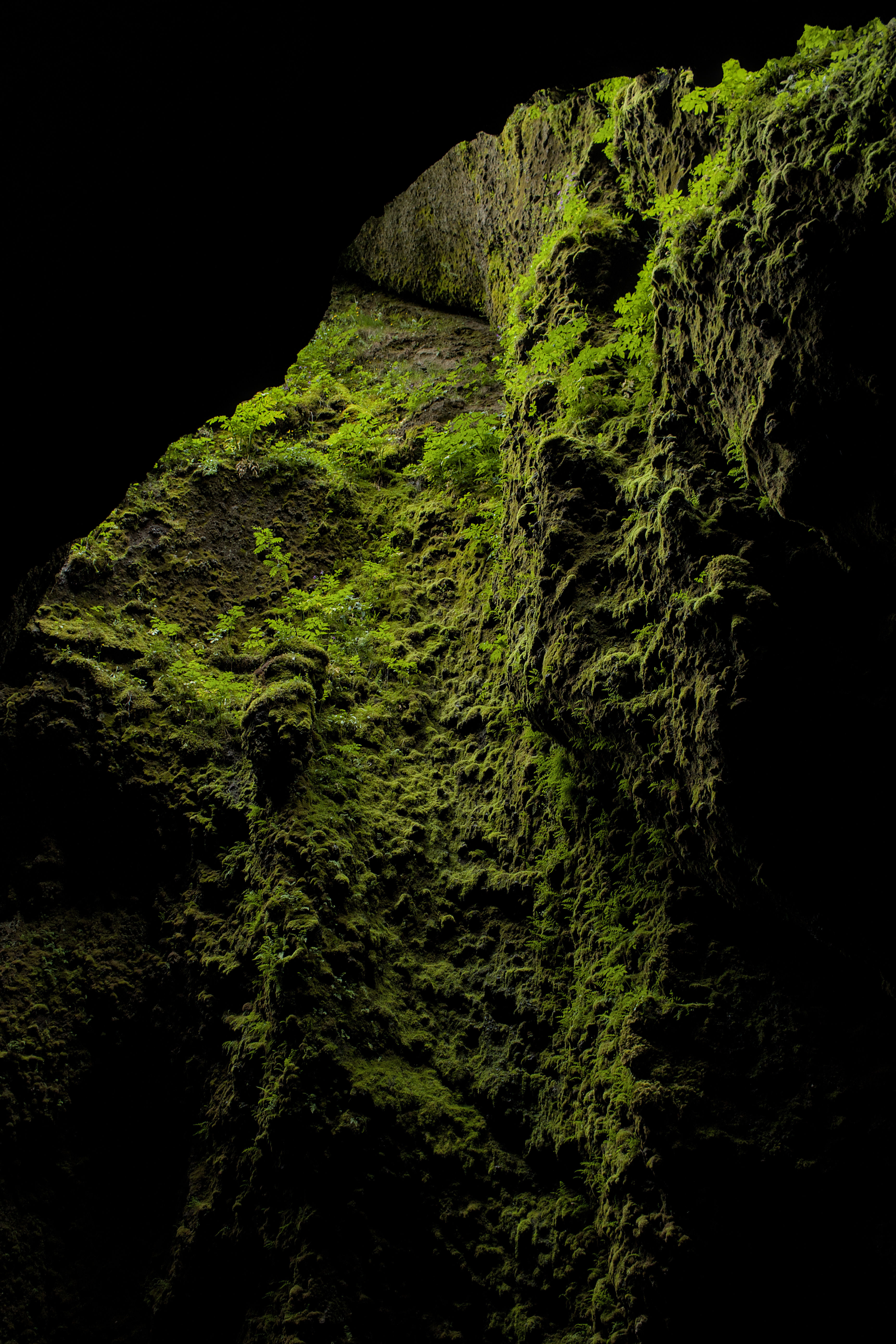 photo 101366bcf322d7ca