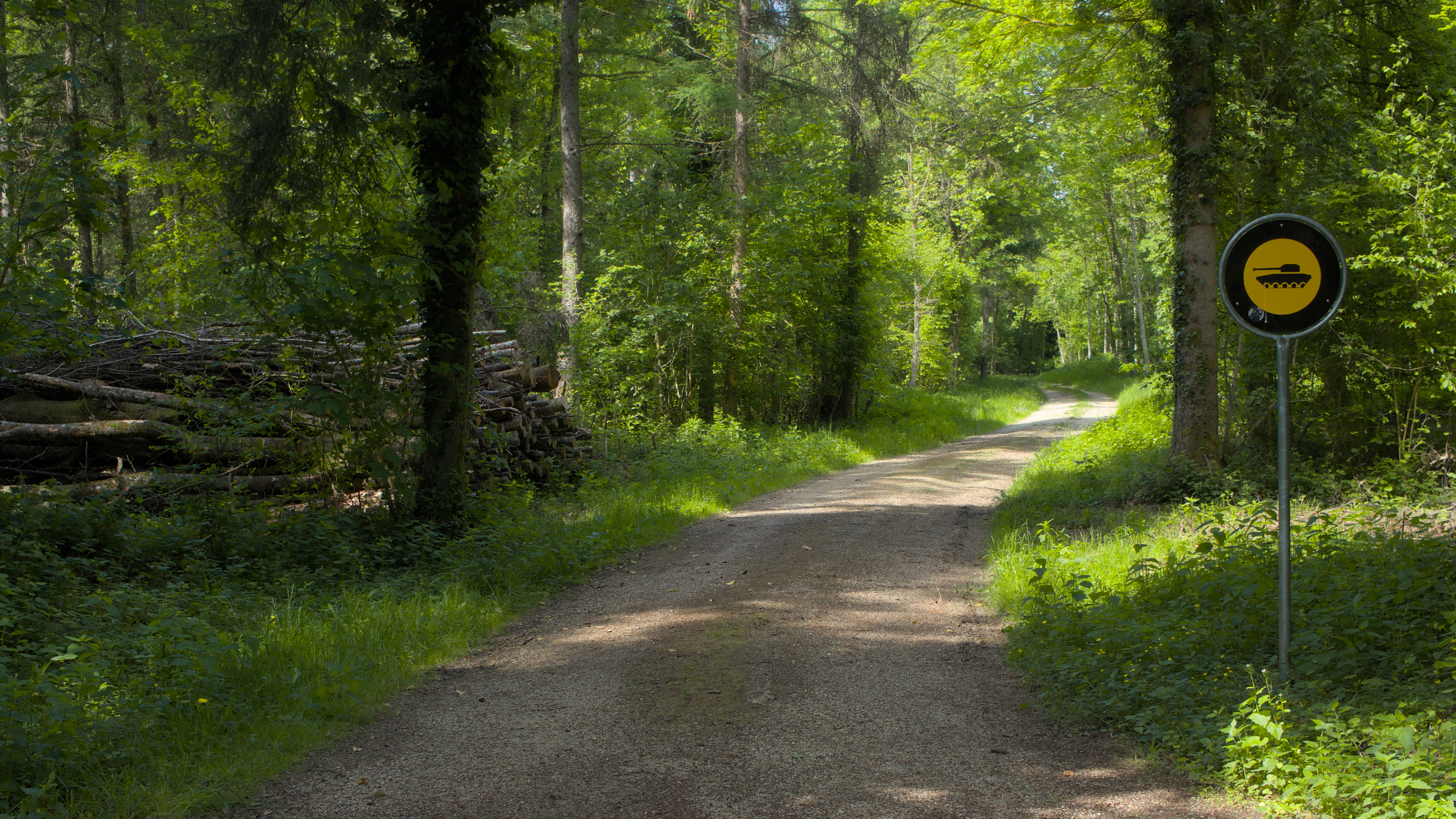 photo 11050194593575ca