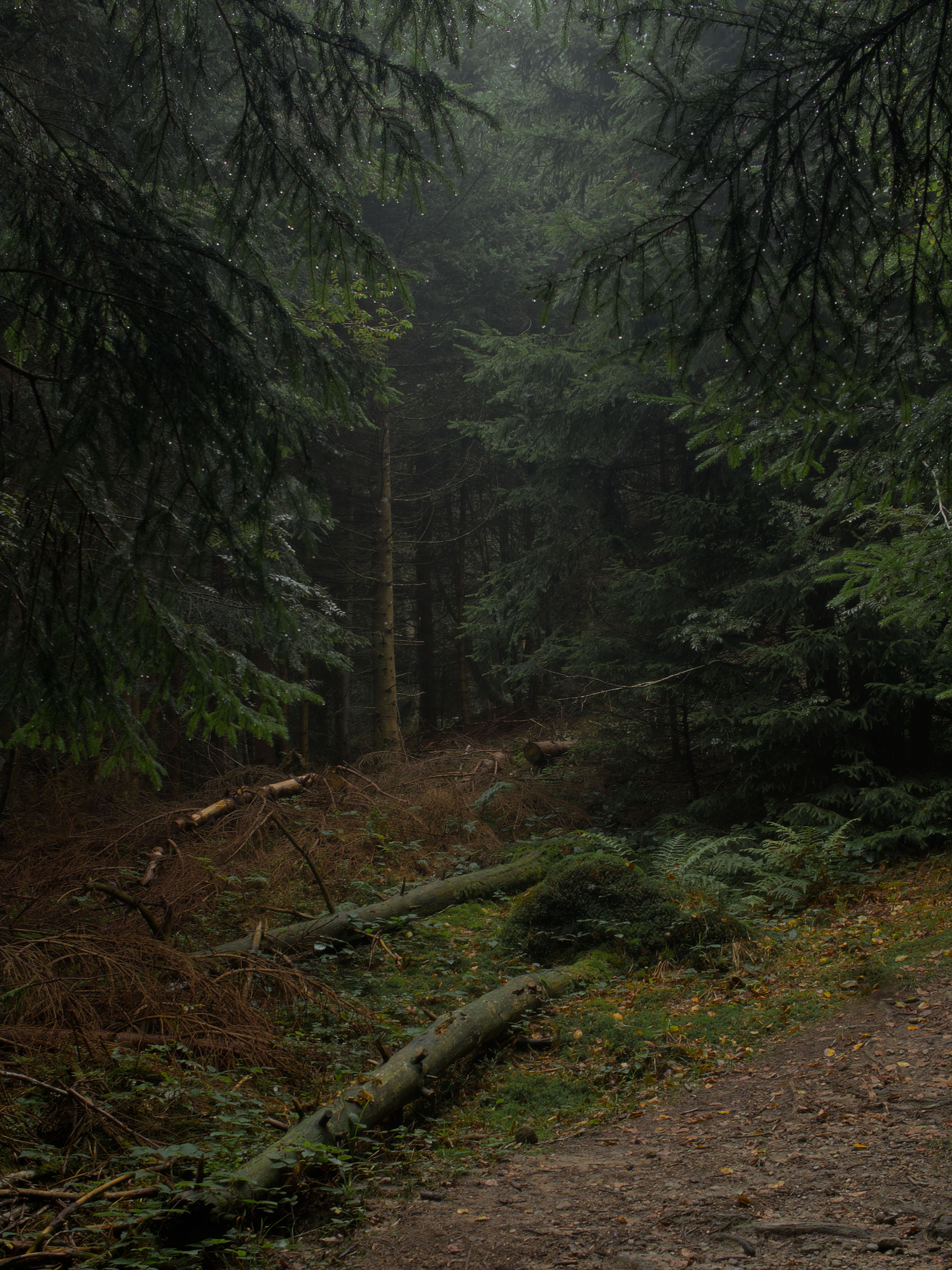 photo 14a8ac310b3511a6