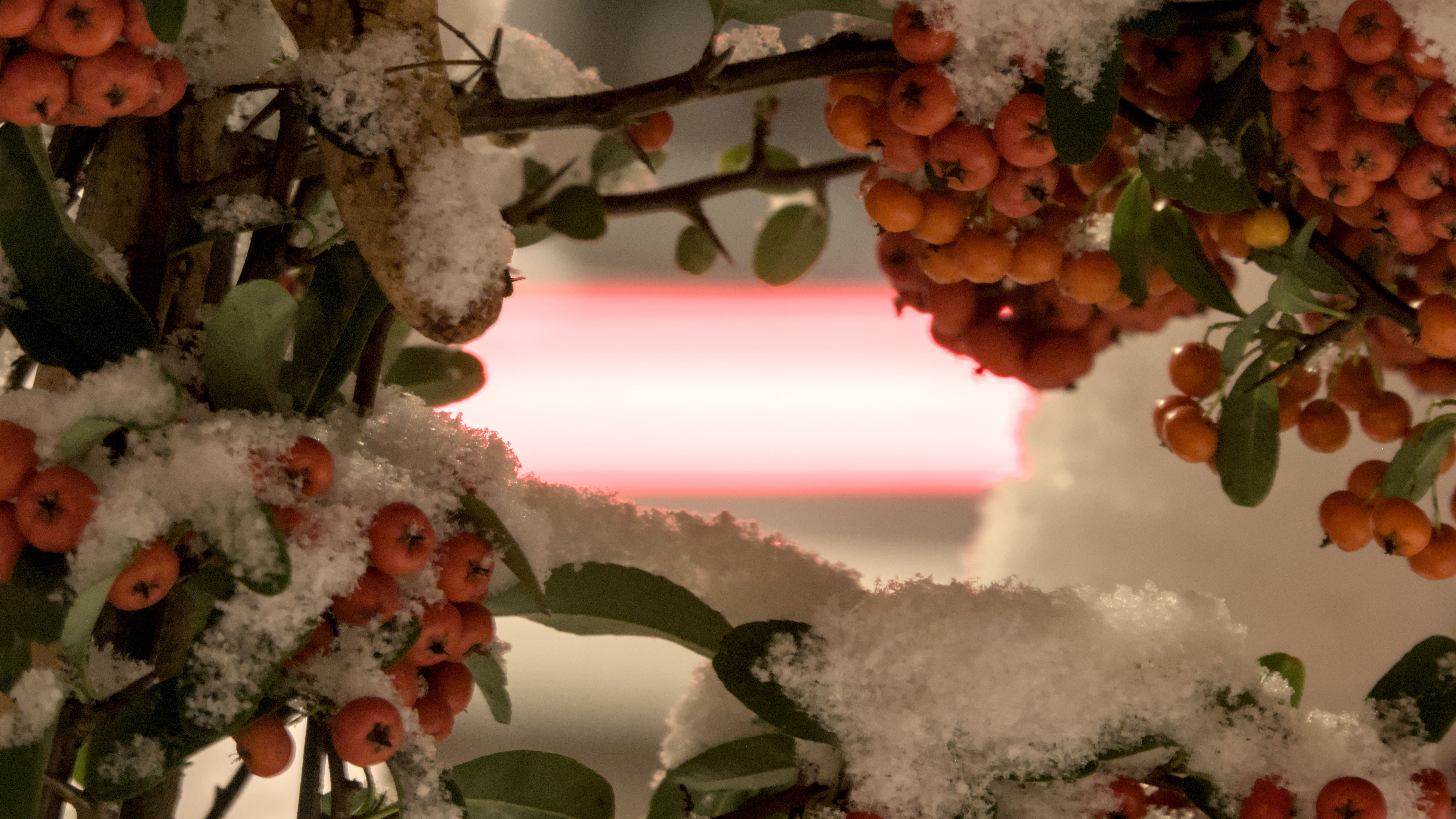 photo 1725f34aea8776c1