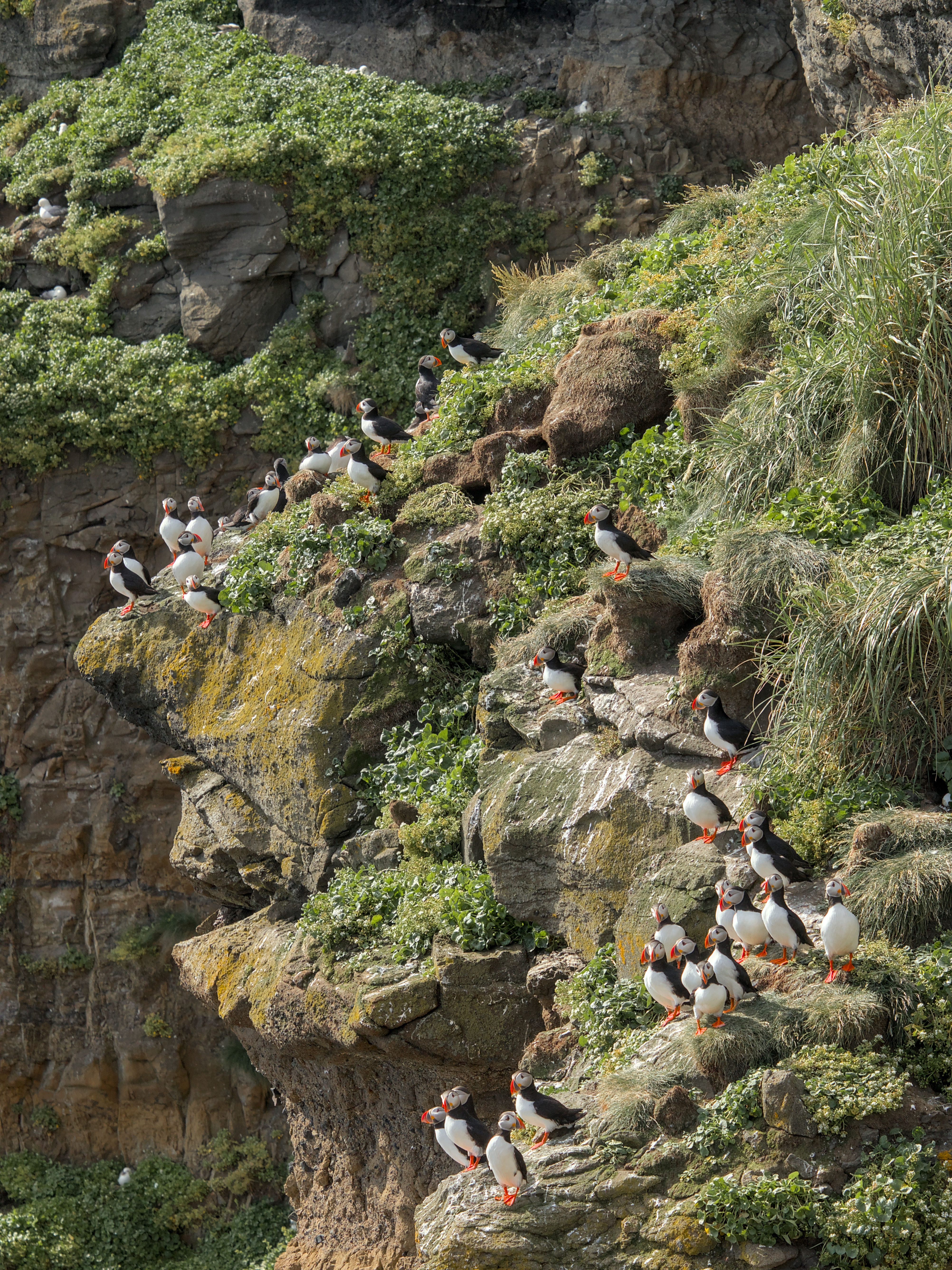 photo 1745ab6faeac1dab