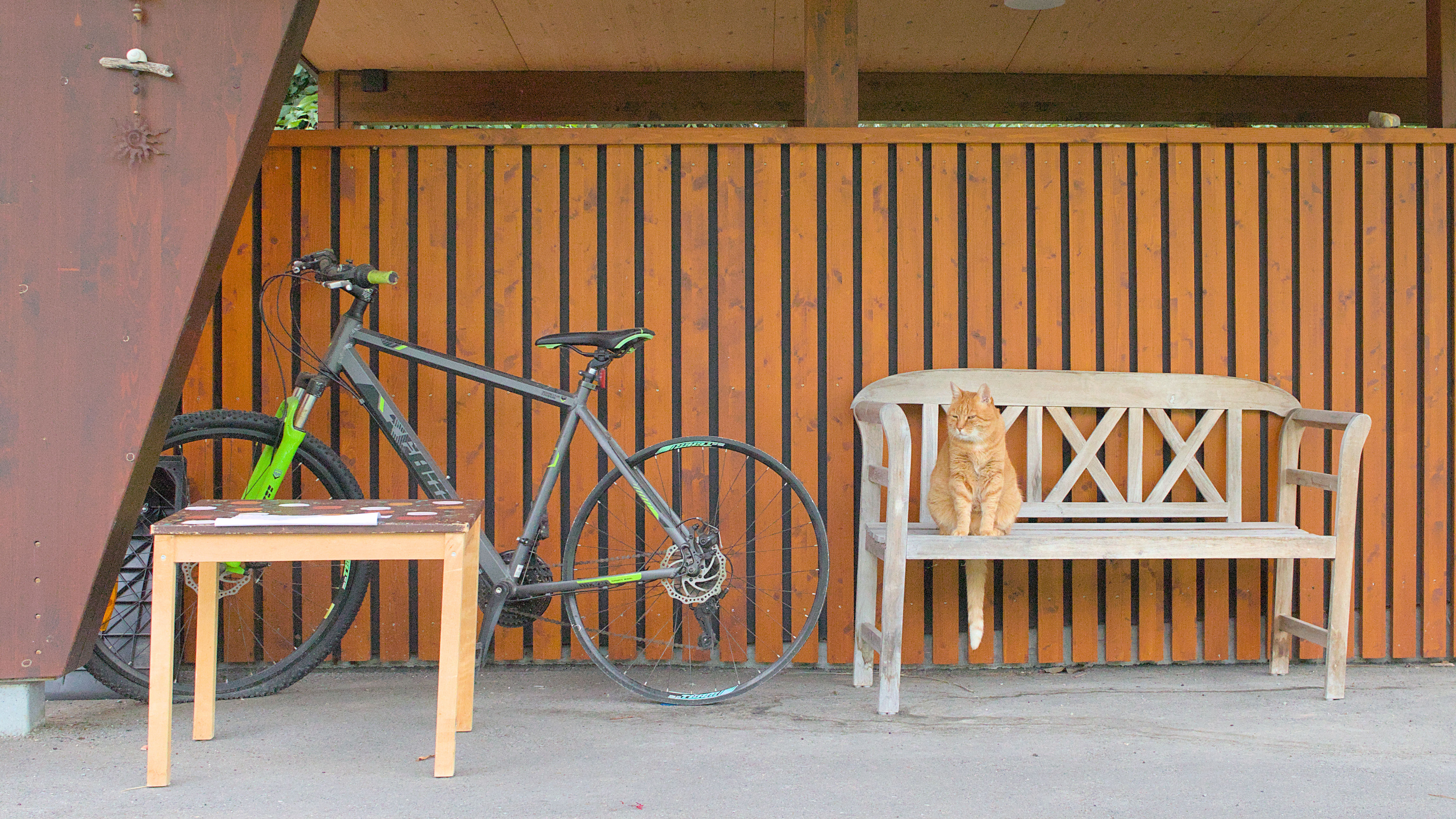 photo 17a63cf346a7f8fc