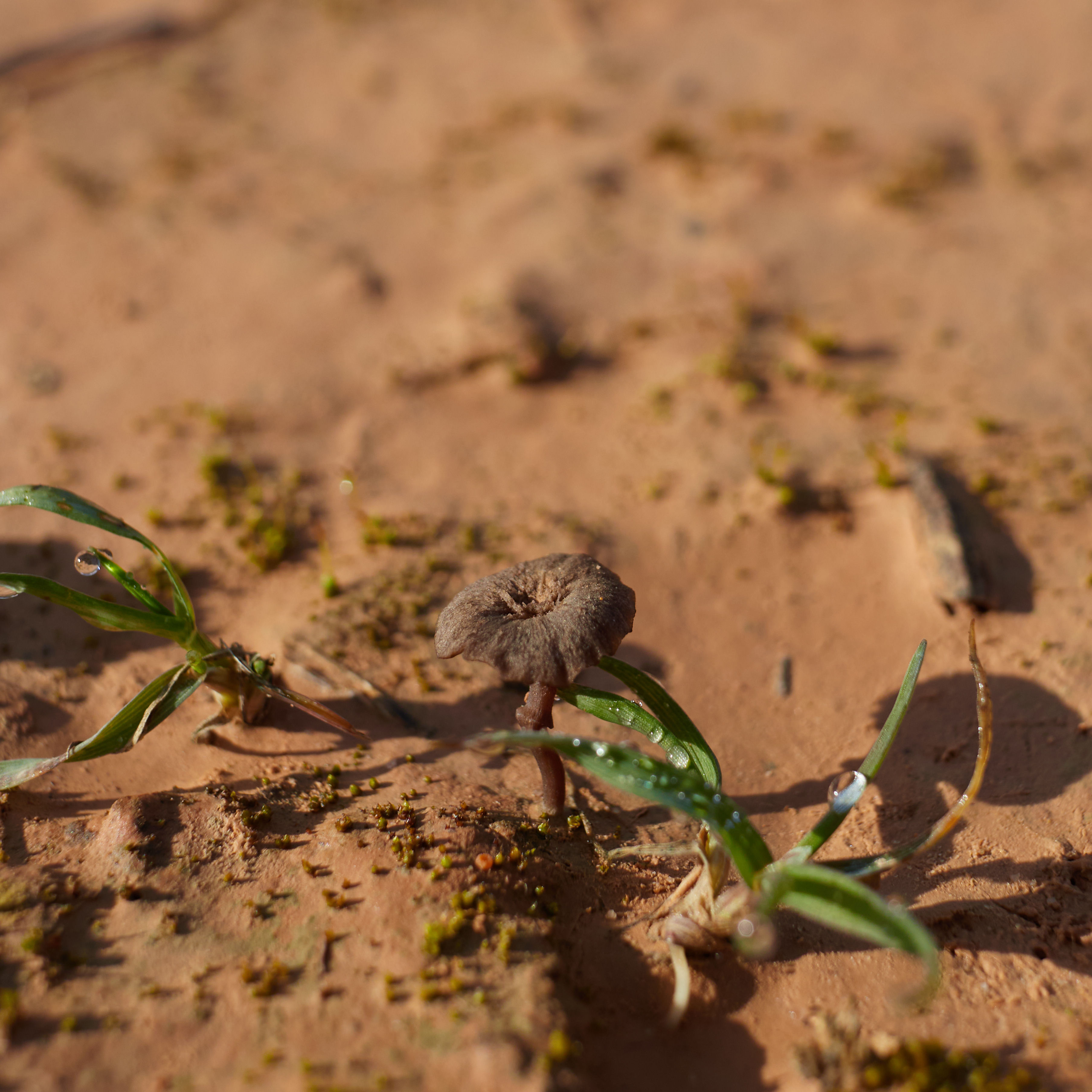 photo 1ad4ef85e05c3d07