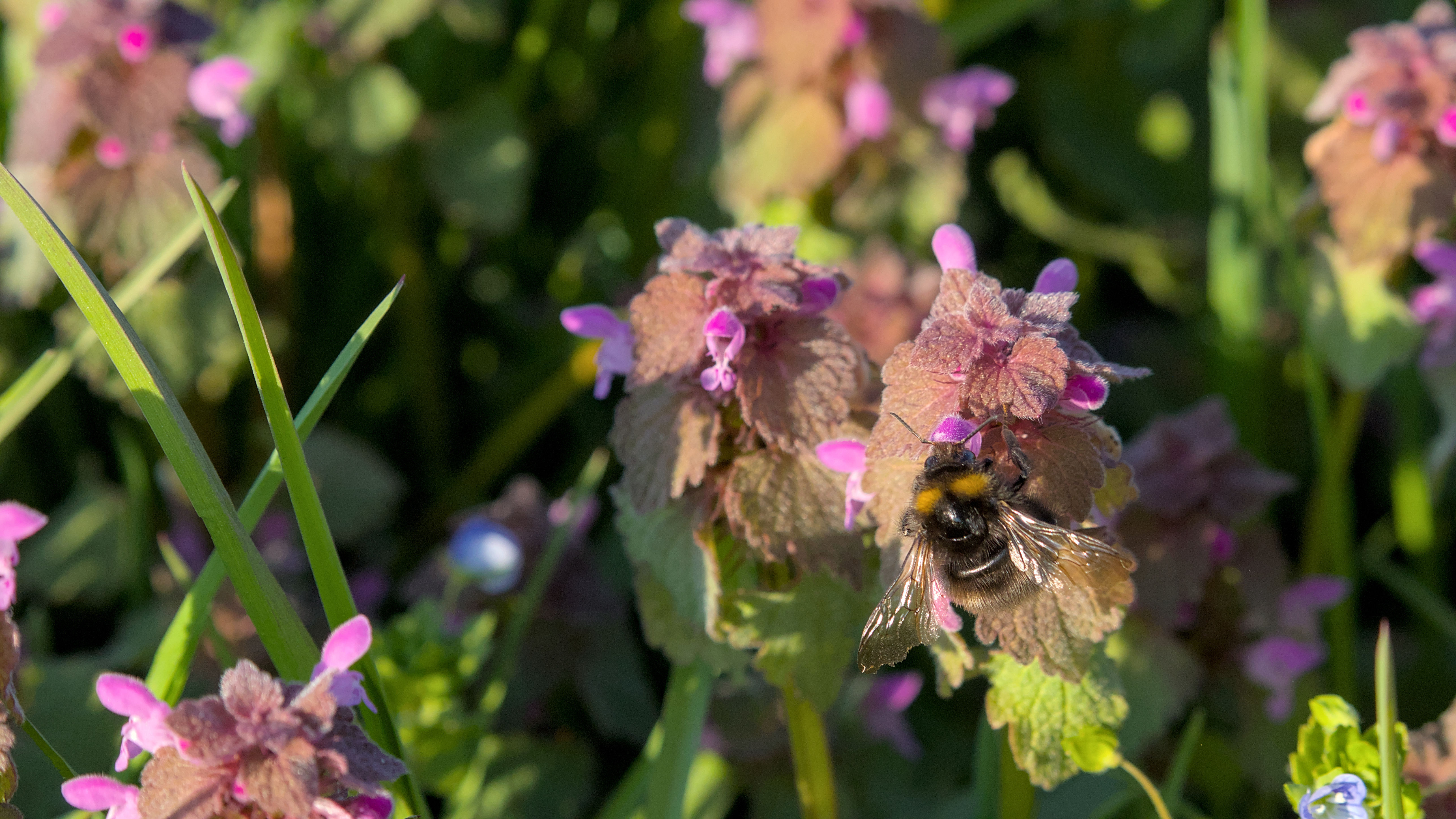 photo 1d3d35124985e9d2