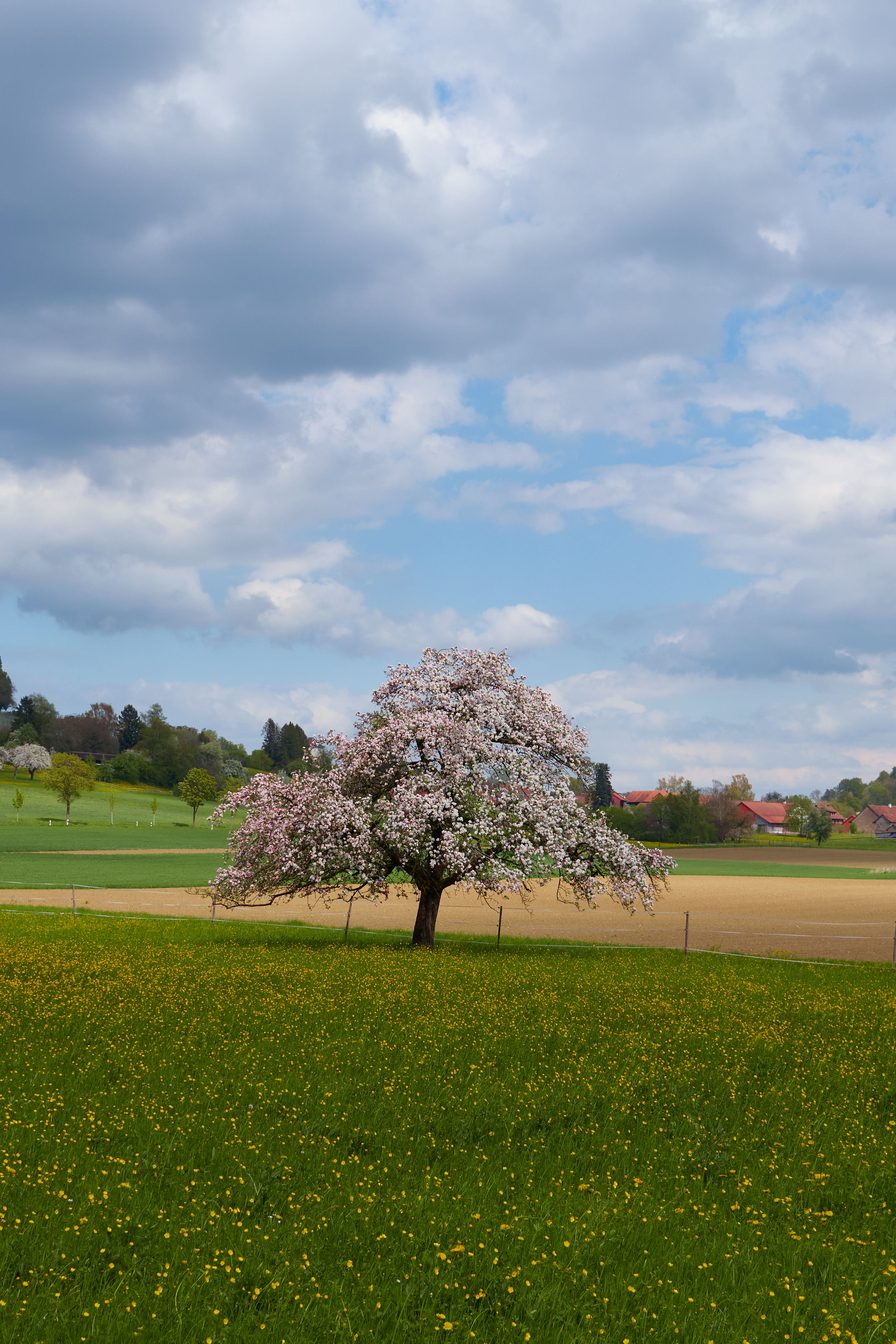 photo 1dc320b6f1434682