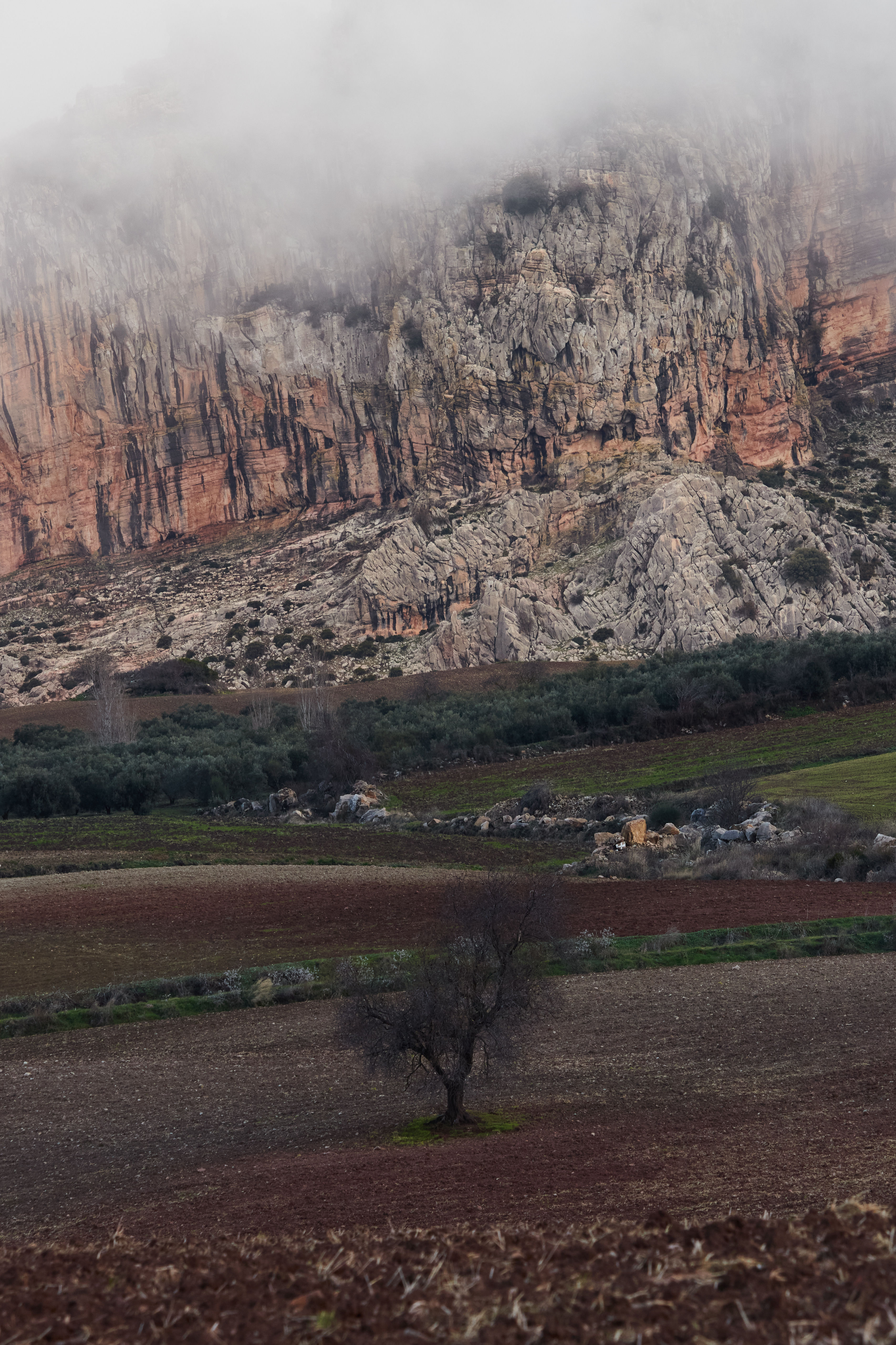 photo 24affd925bc76ef0