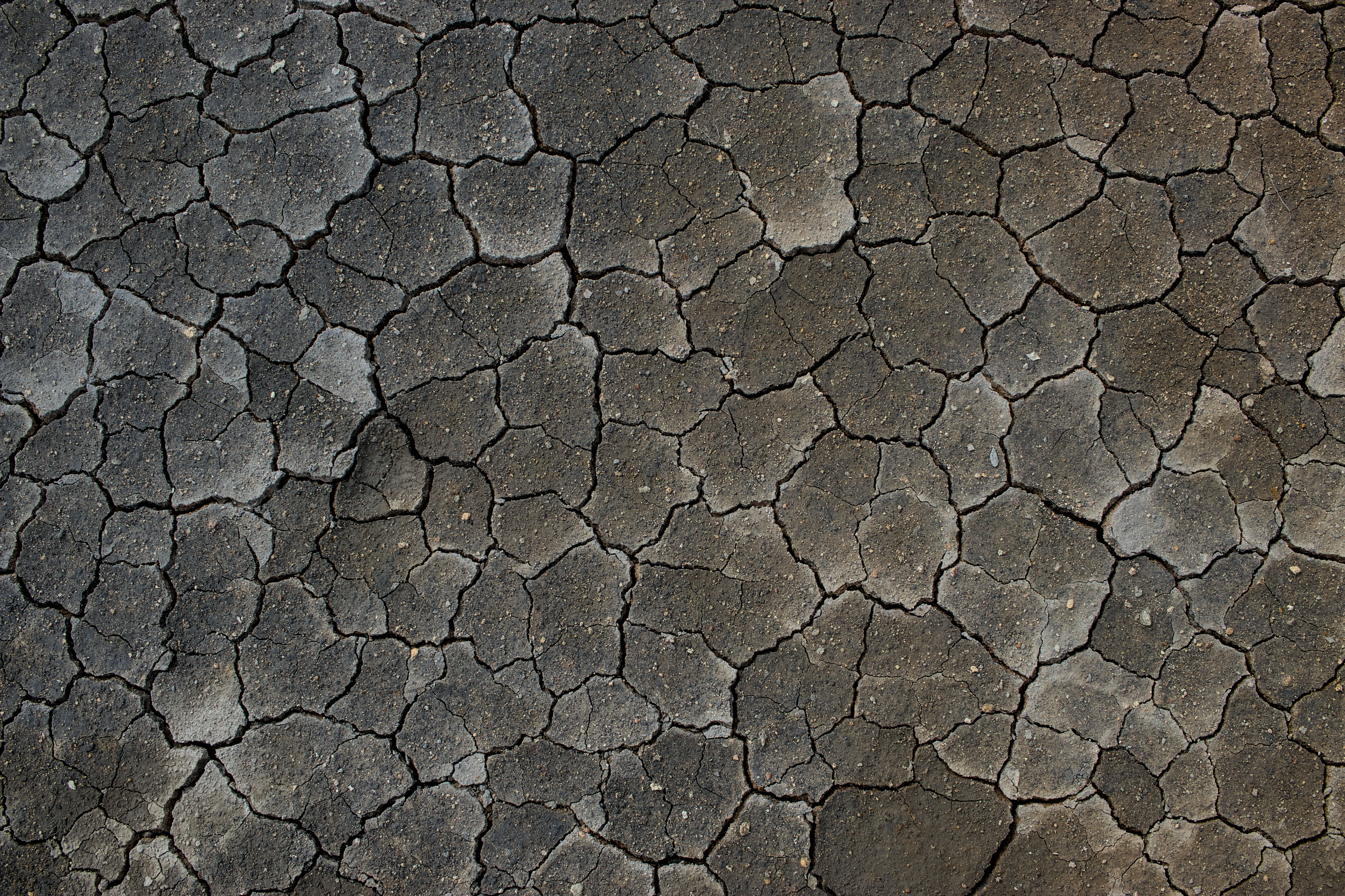 photo 26d80b12c7e59968