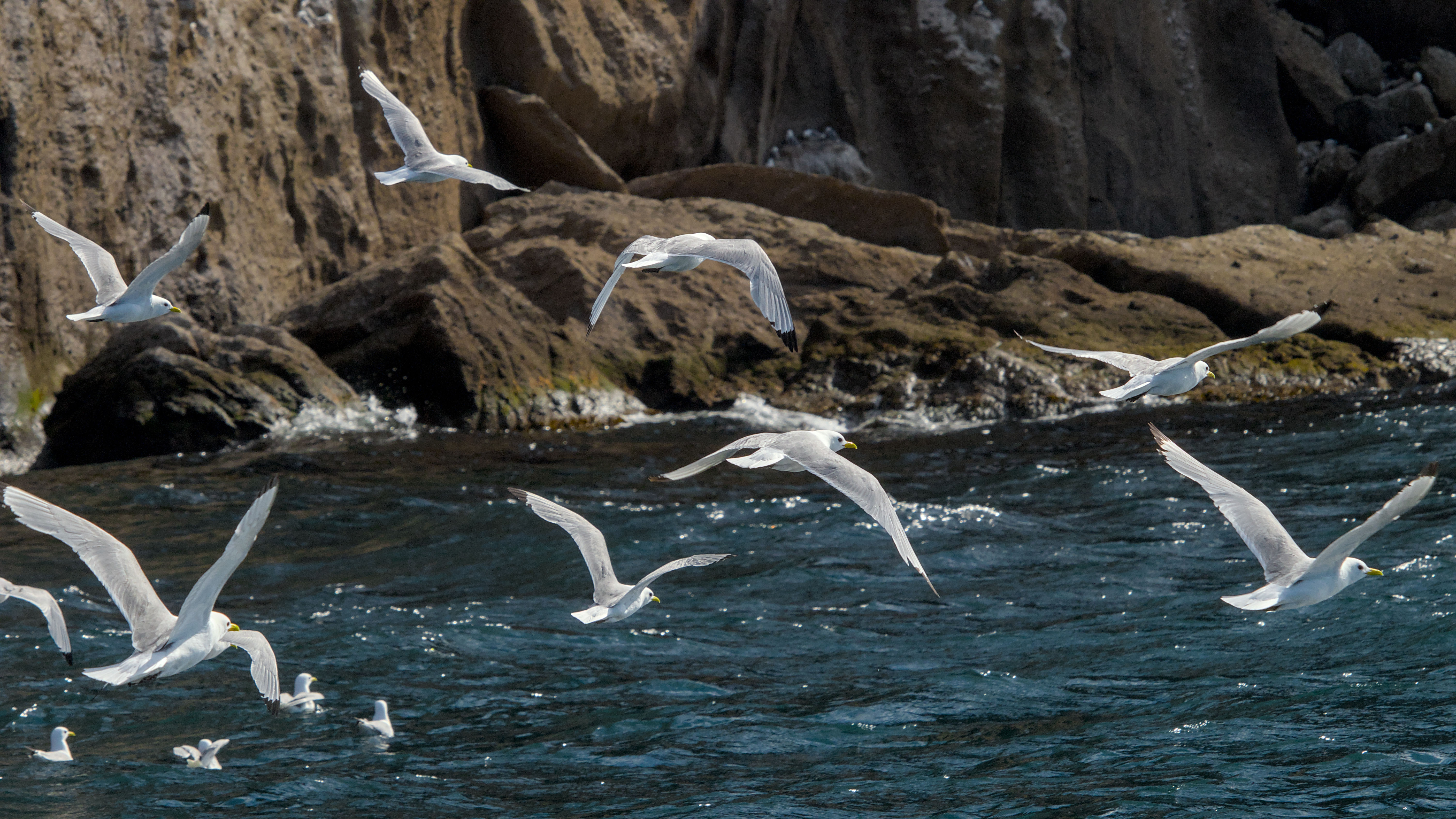 photo 276385e07cd72505