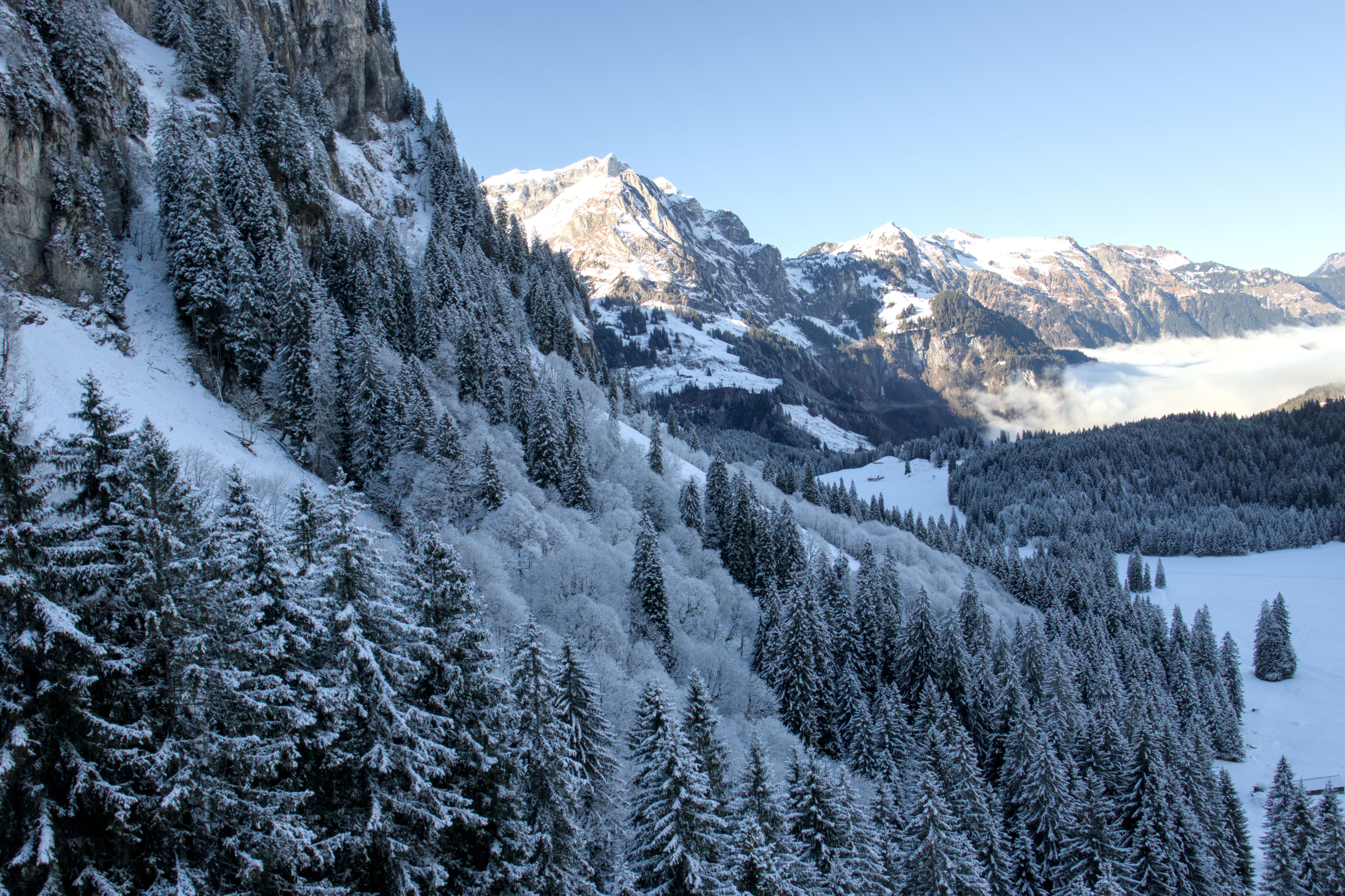 photo 29070eef3bc0901b