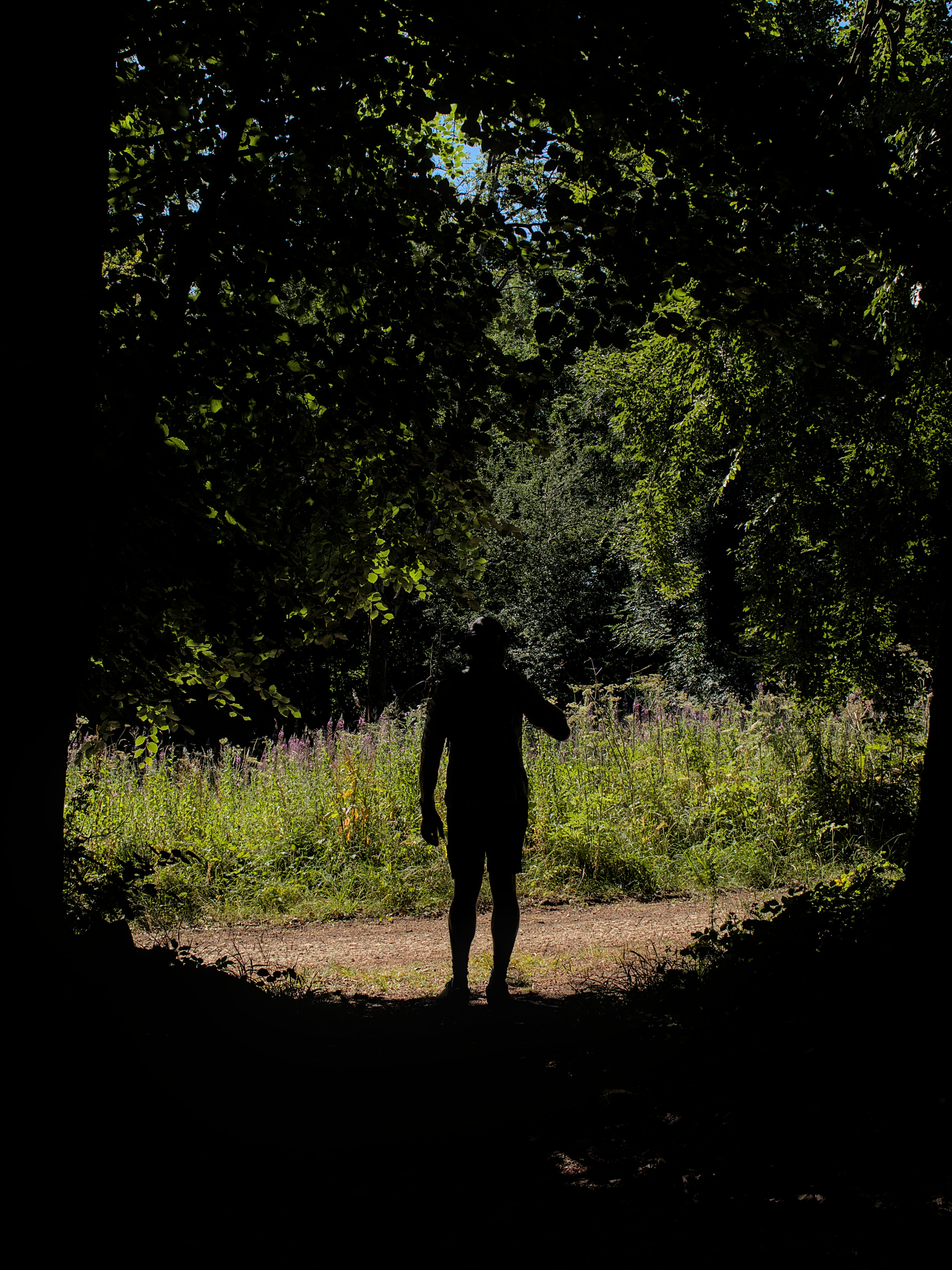 photo 2cc62dcfe1621884