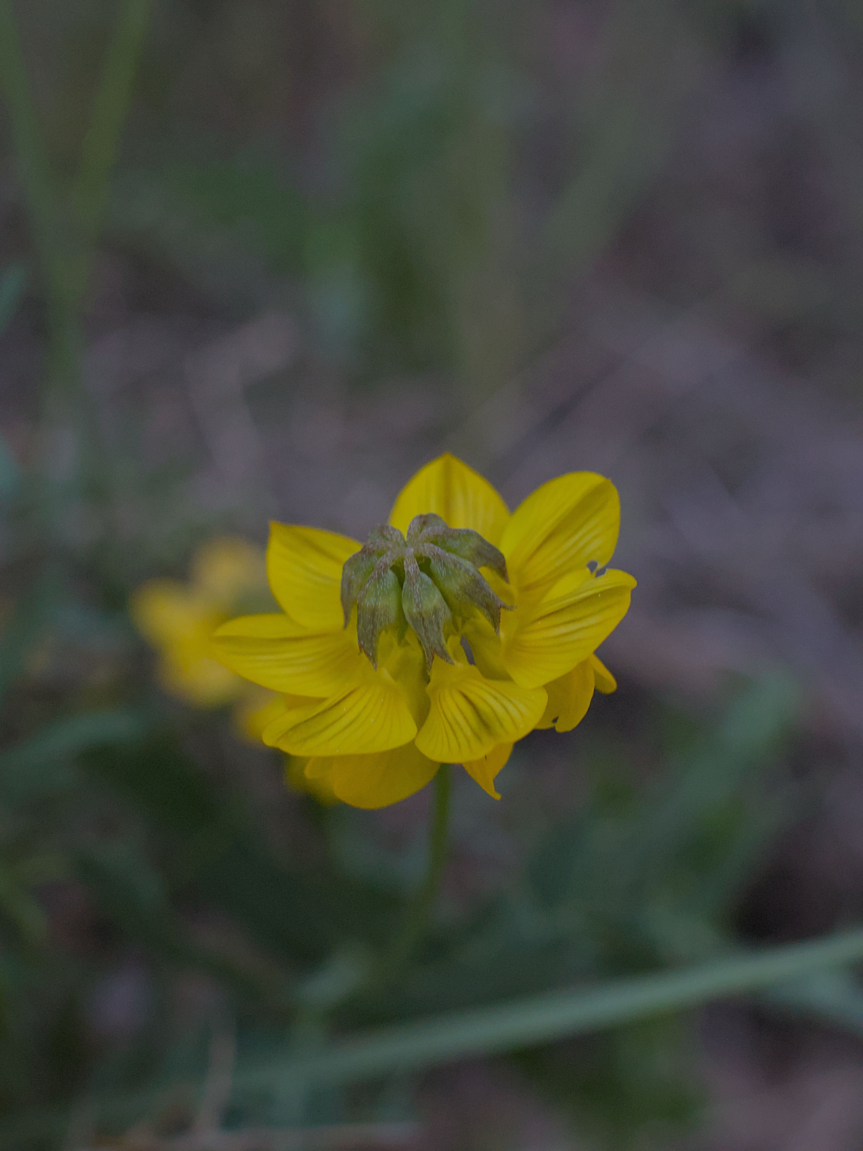 photo 2d67990d5418e78a