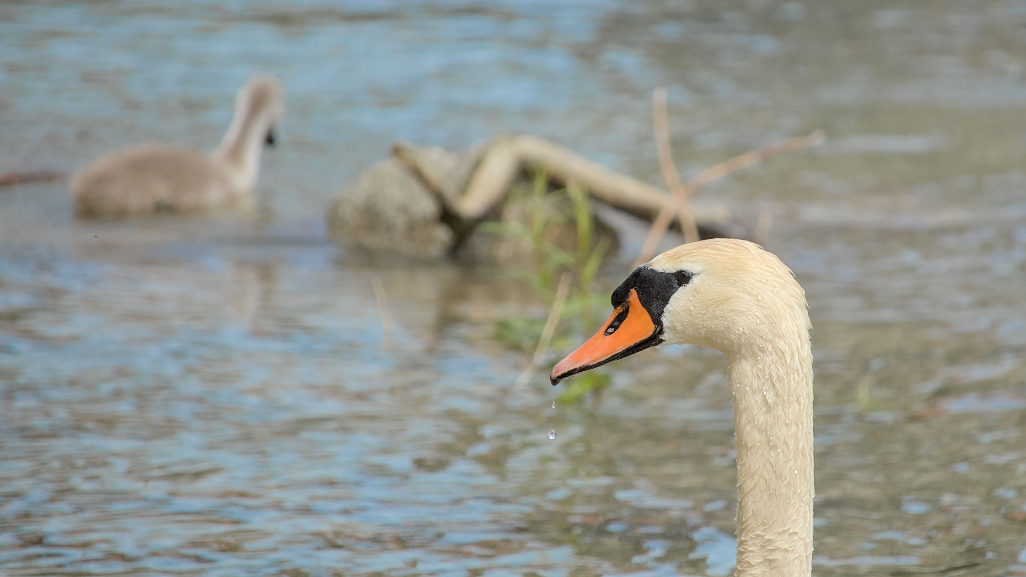 photo 2e7d09031e9c86f1