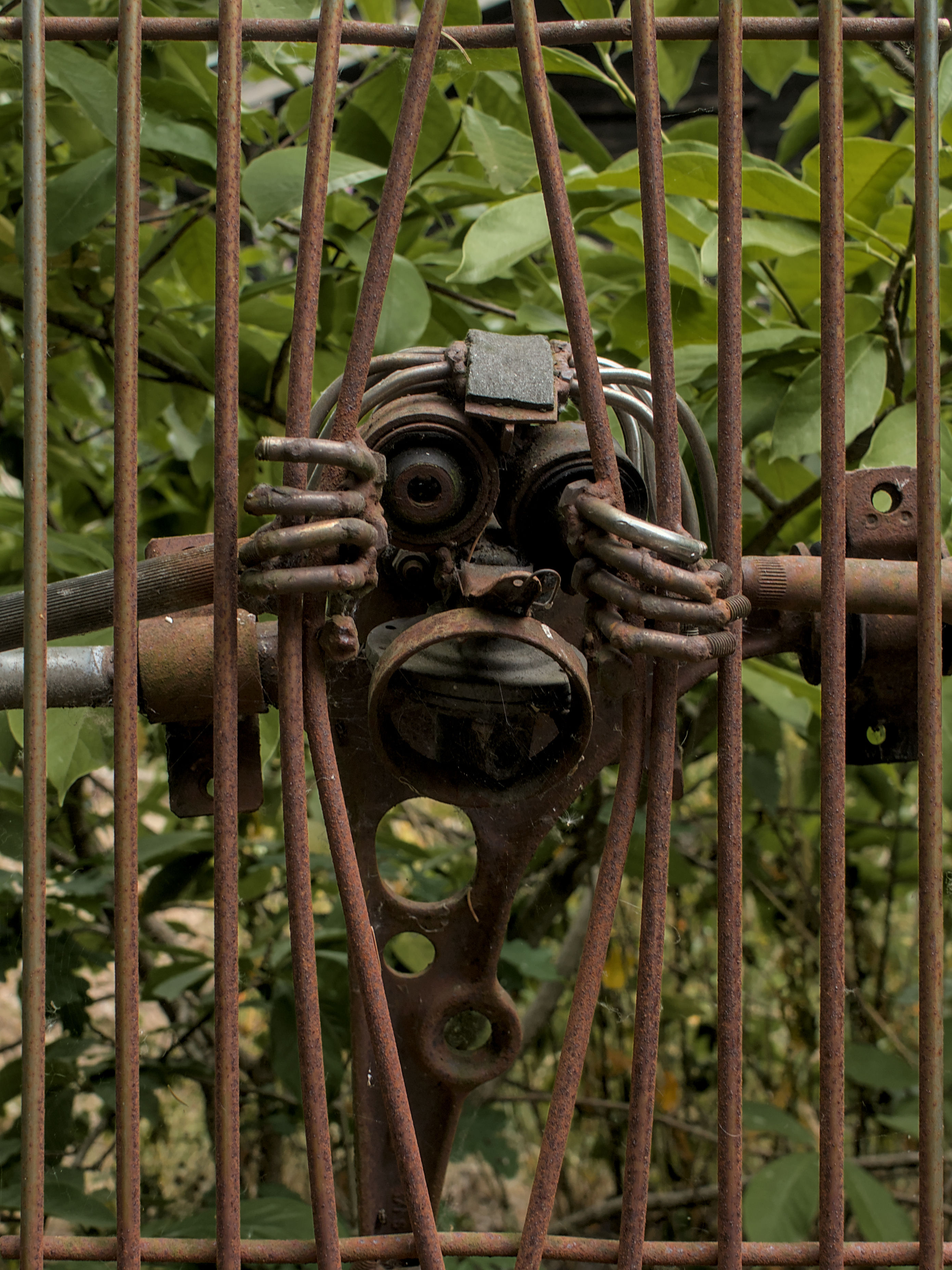 photo 2e8a6a00c0c2fb1f