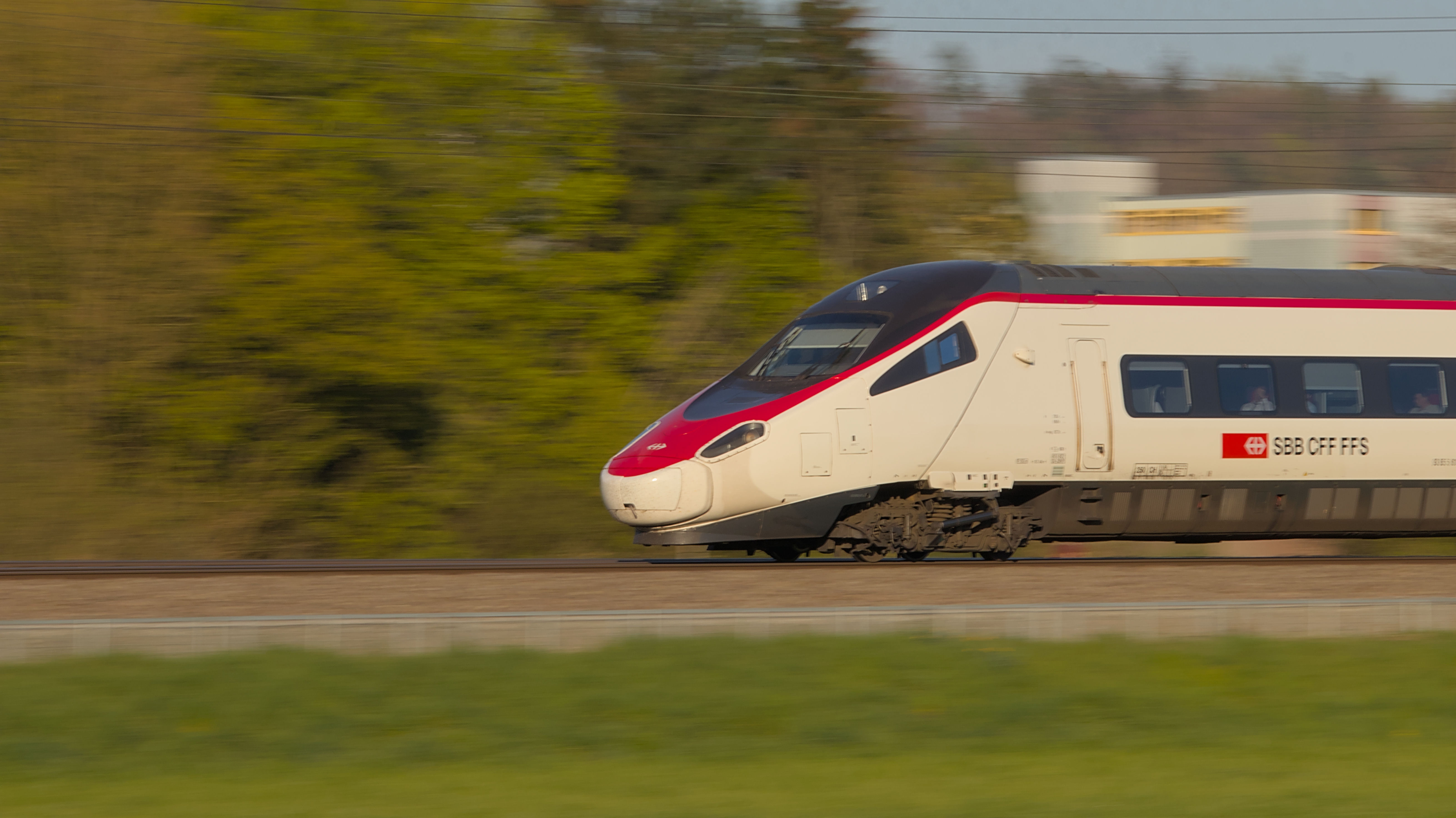 photo 2f7de8879a459e4c