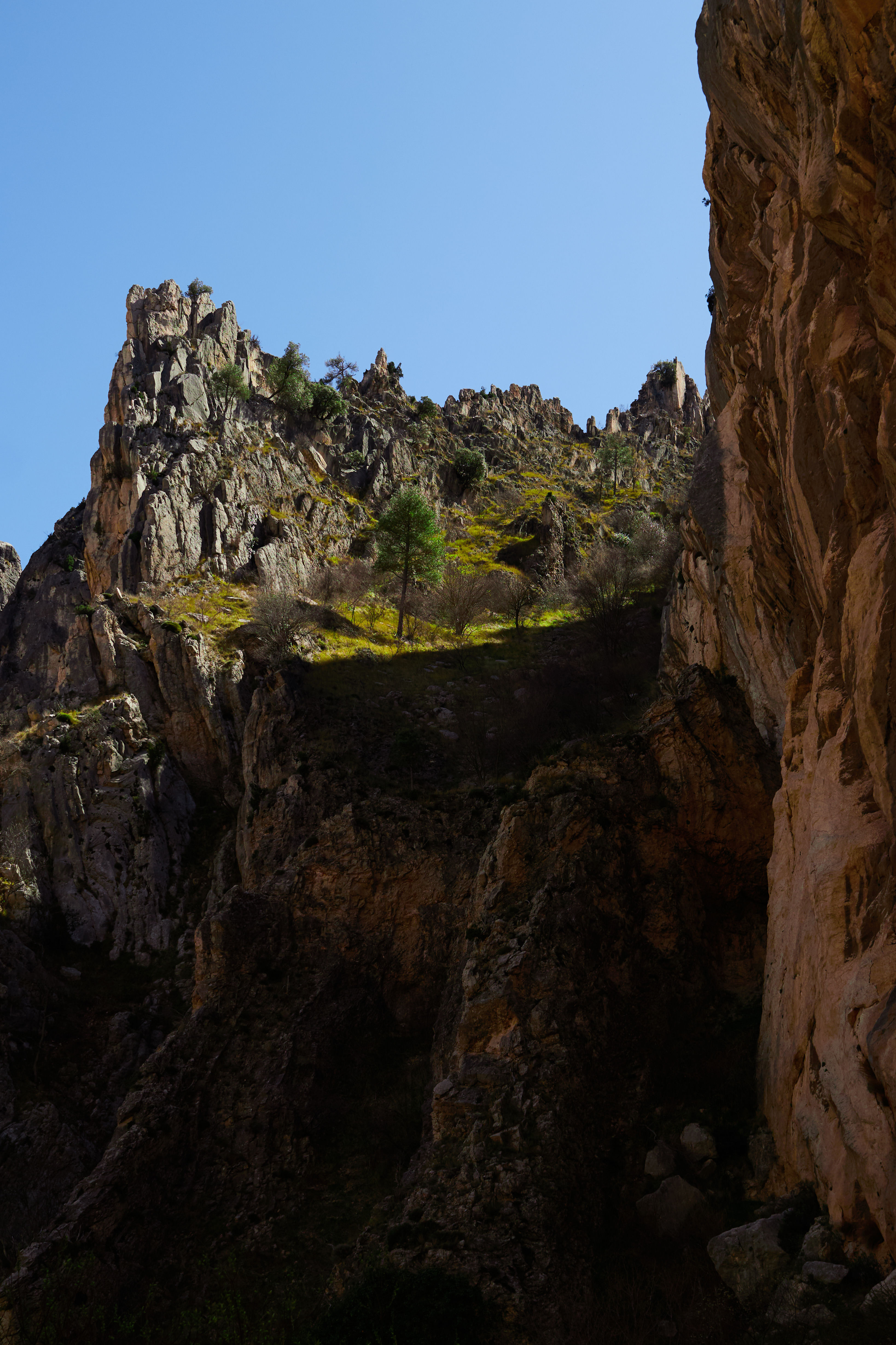 photo 33241e5ddff70d5f