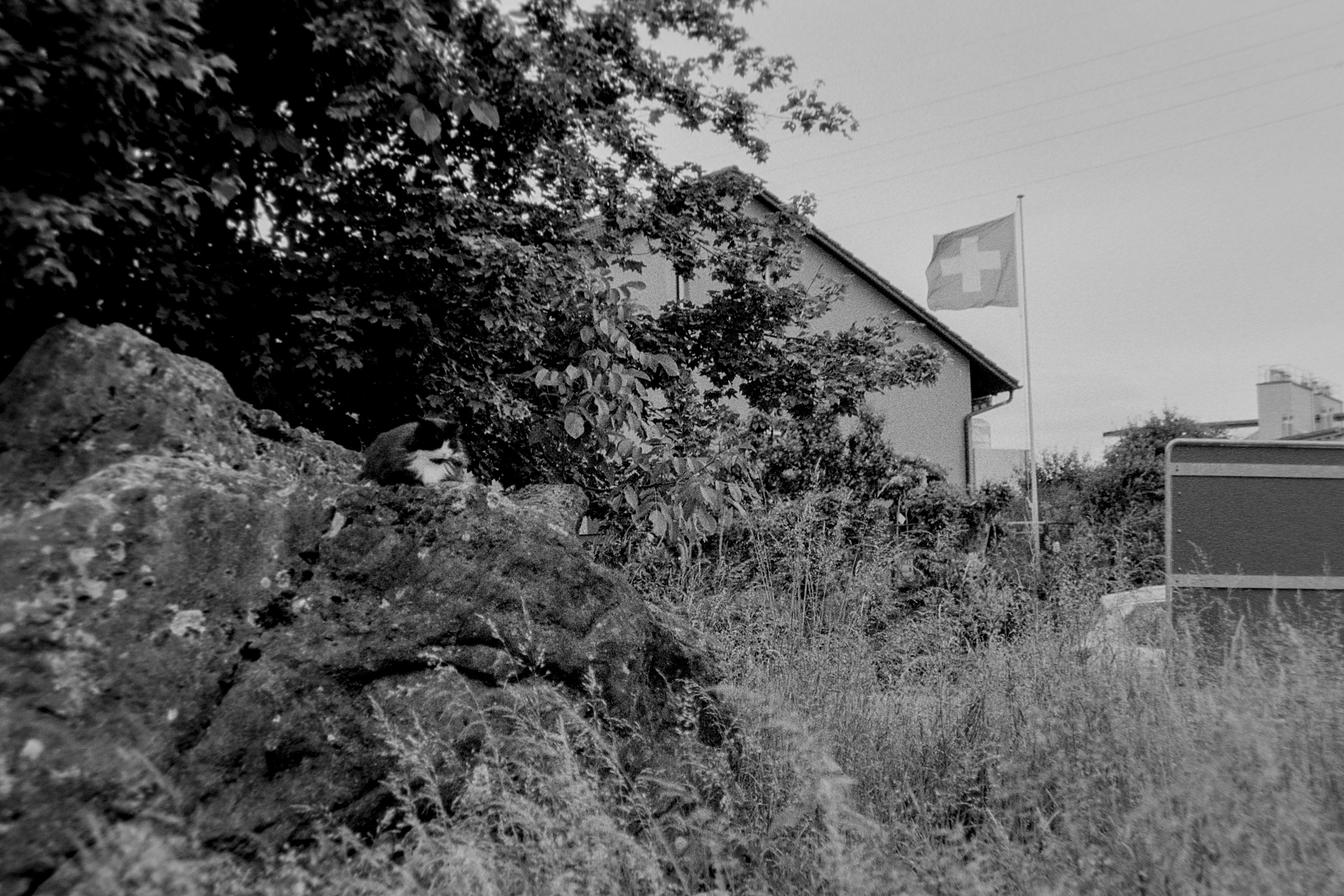 photo 3698f6d0120f51b4