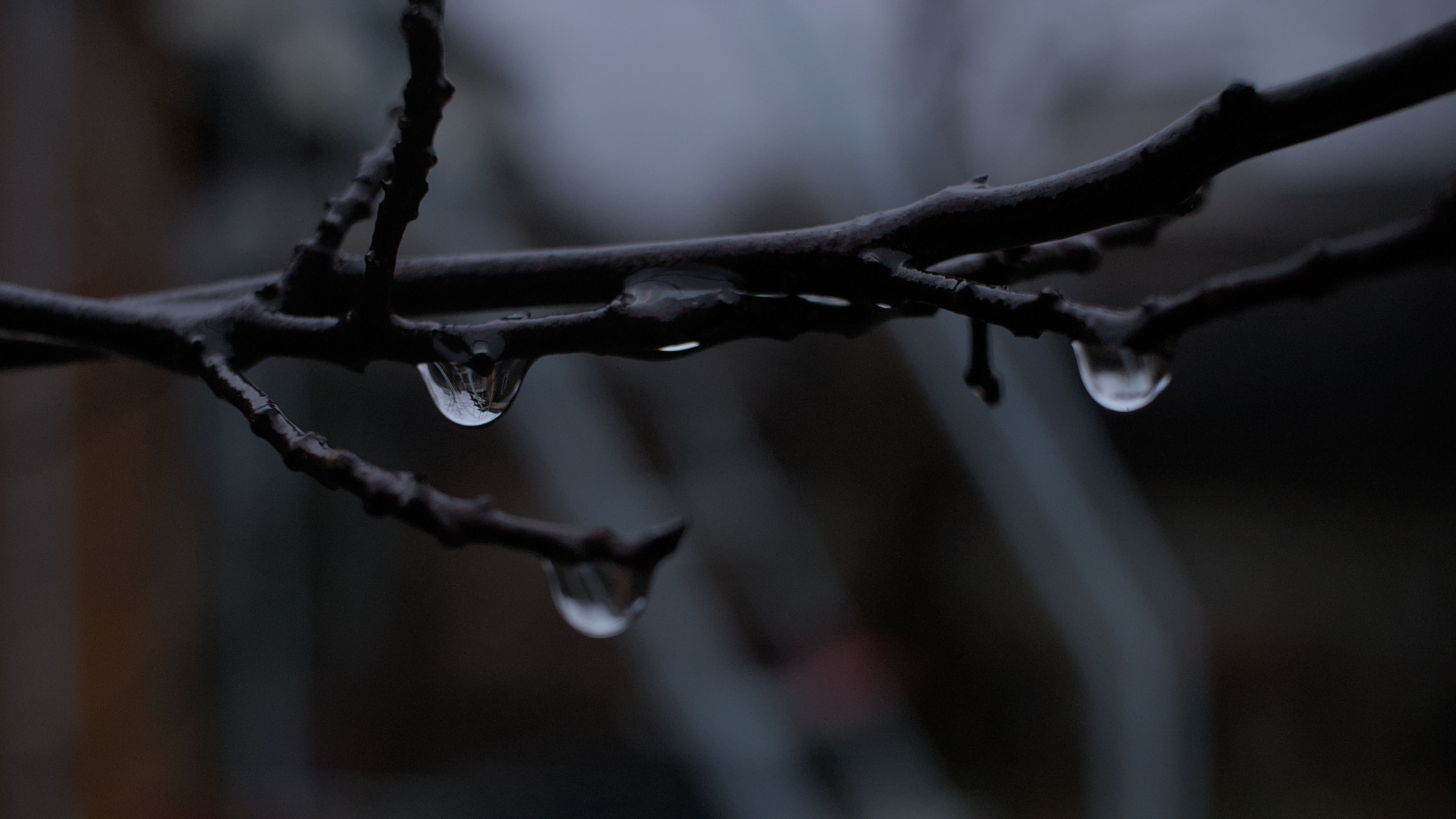 photo 3c178d91a5c78e70