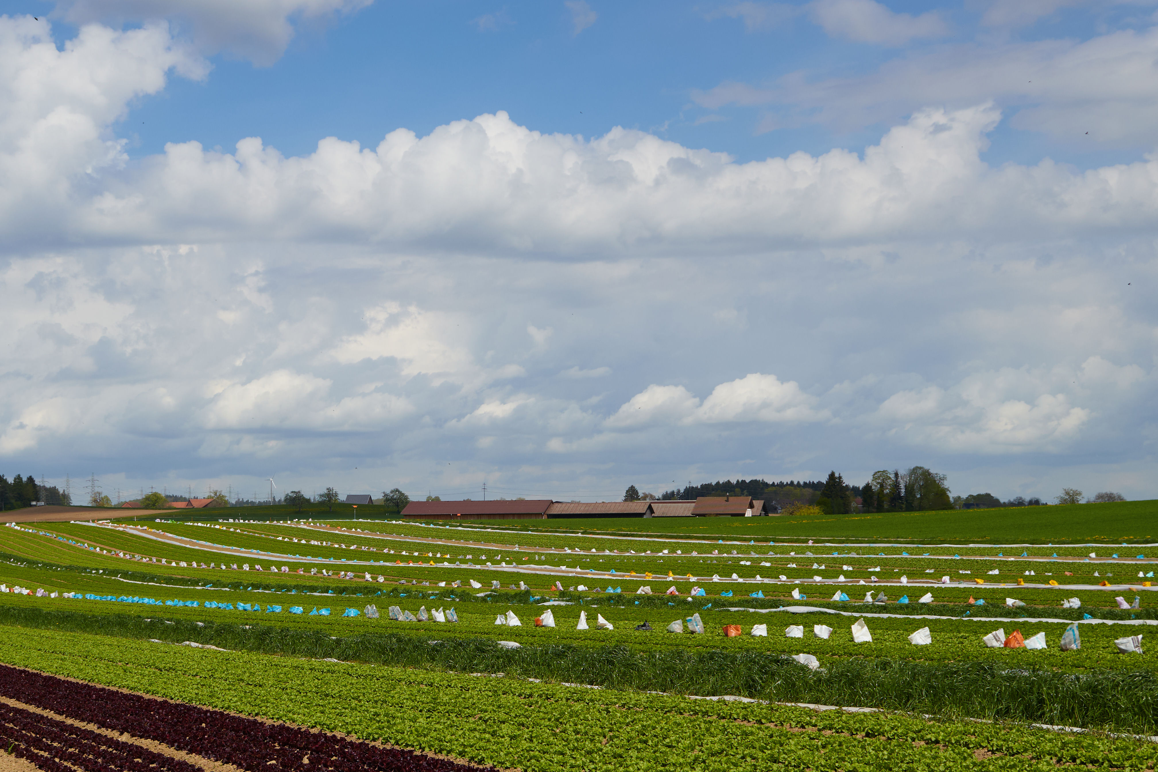 photo 45bb2c6bdca58036
