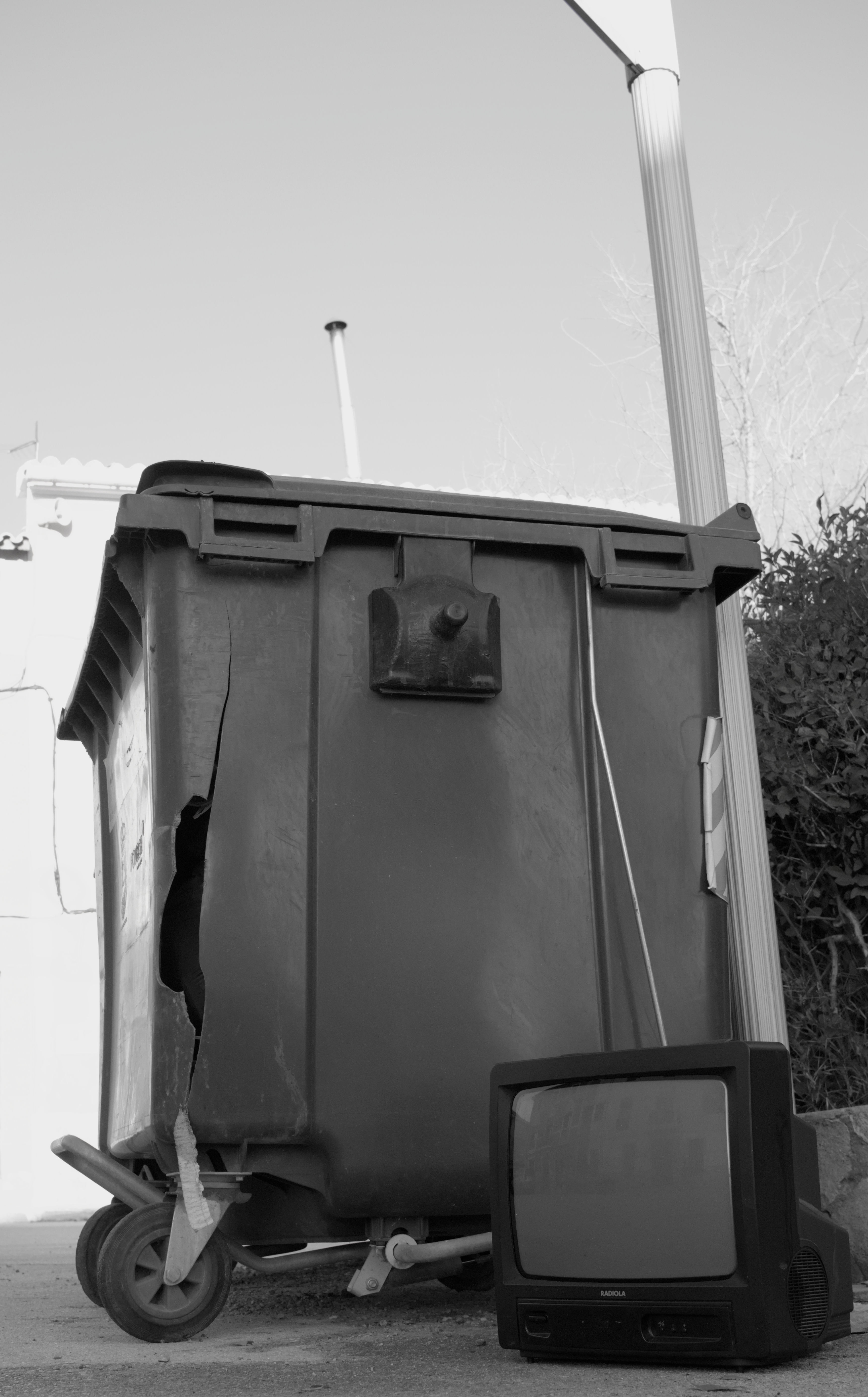 photo 49fa0b1d2e617b31