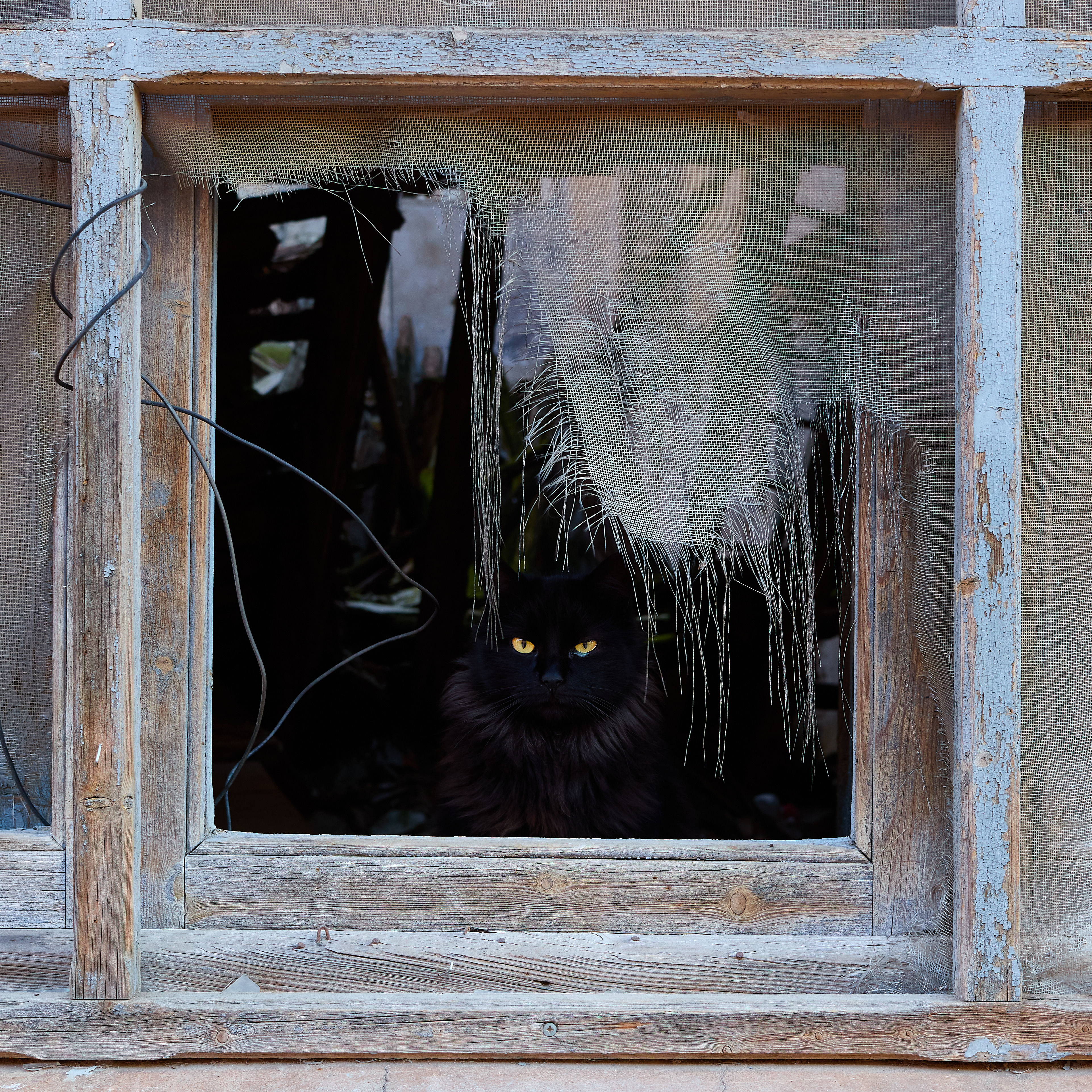 photo 4a2b2180b93e4ec7