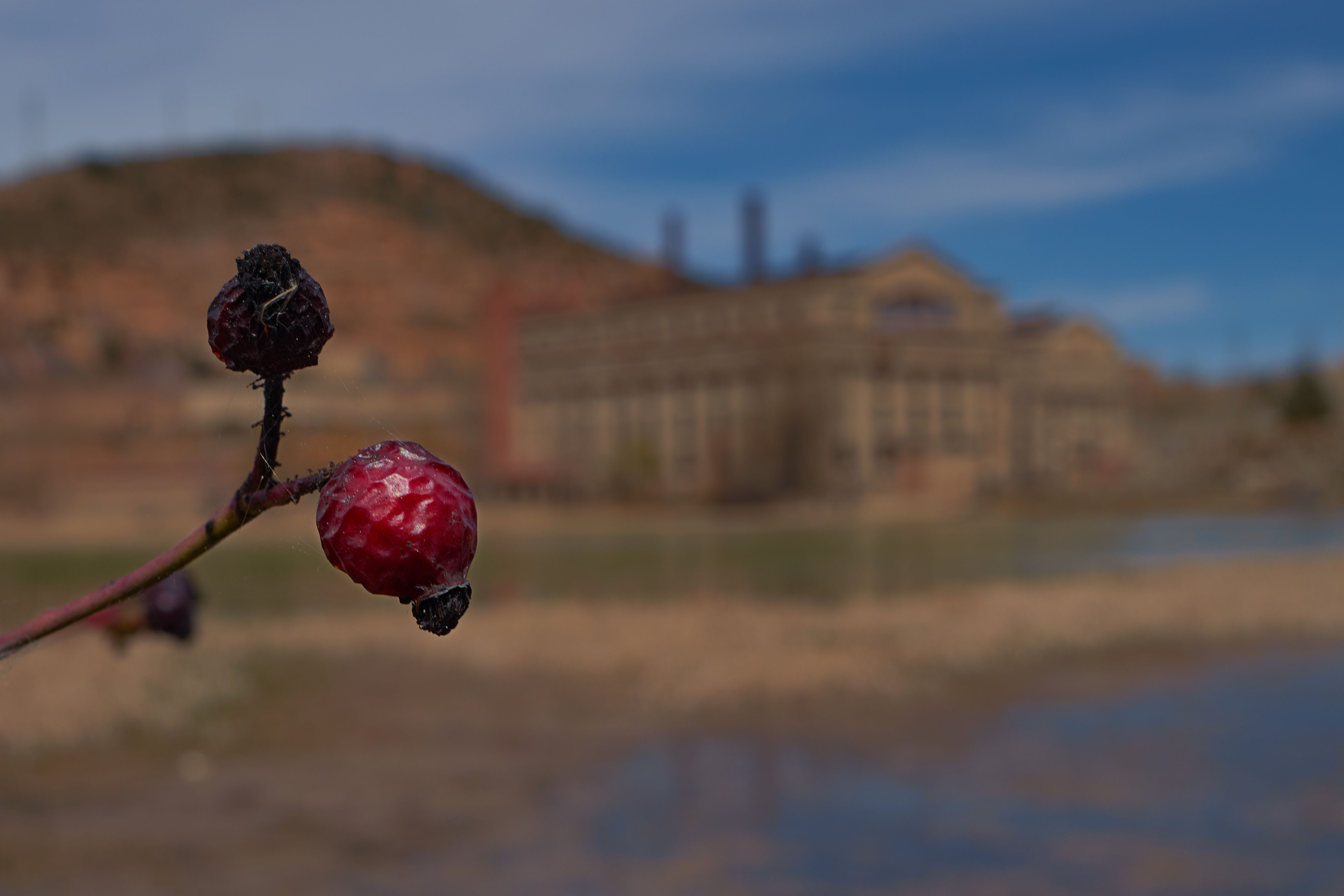 photo 50f5e1b69b6926b3