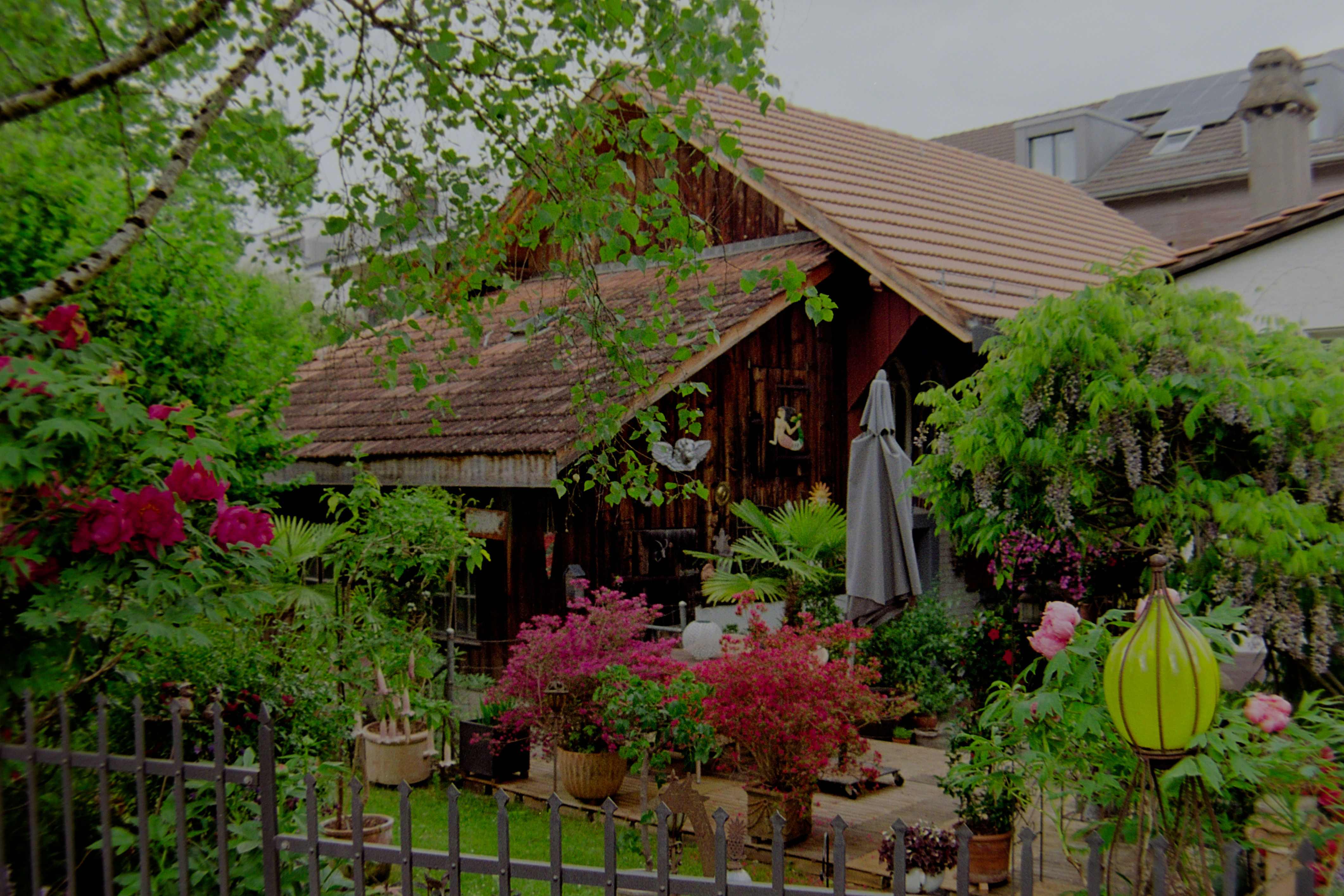 photo 551b417f53d49fc0