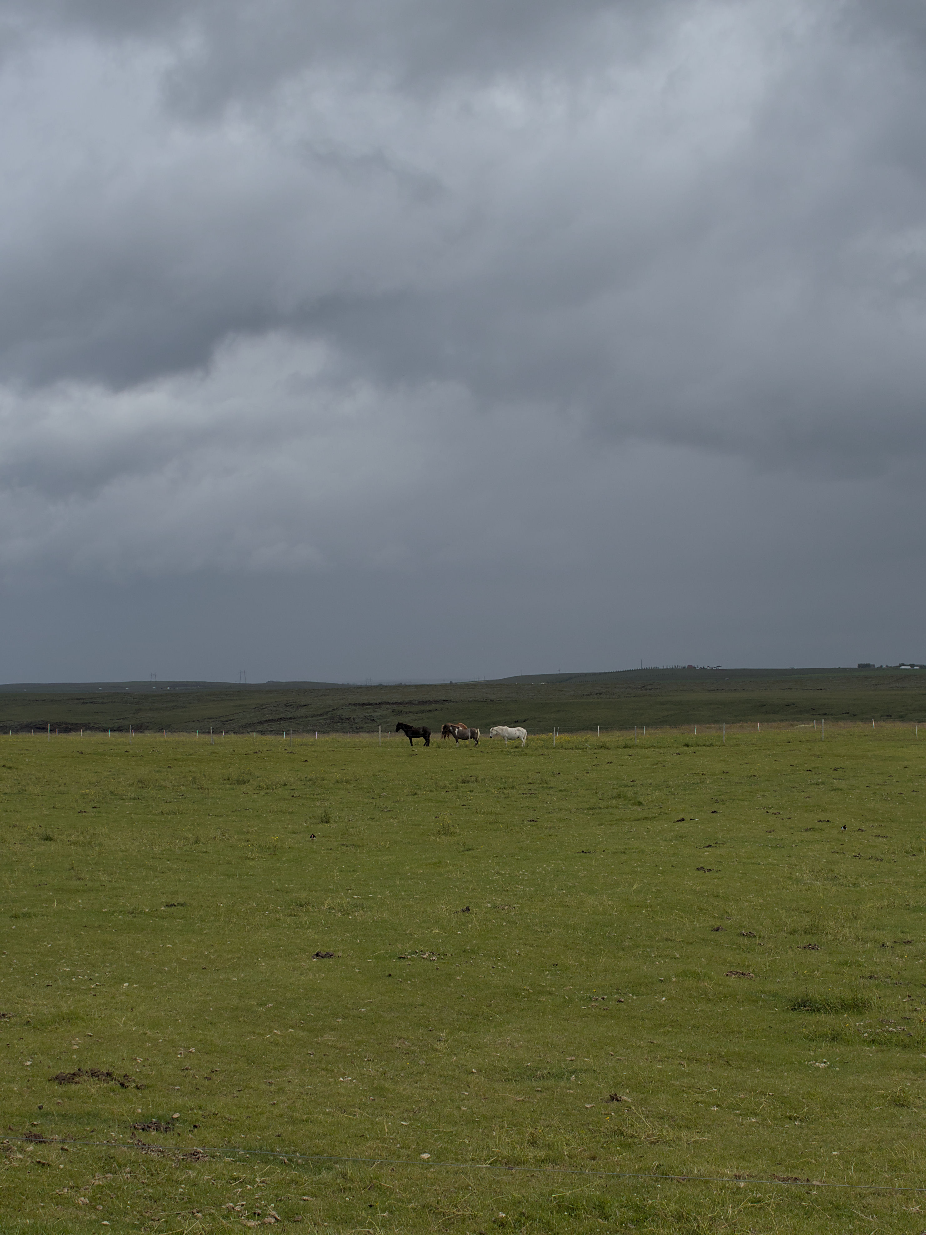 photo 57c7b60355df6fea