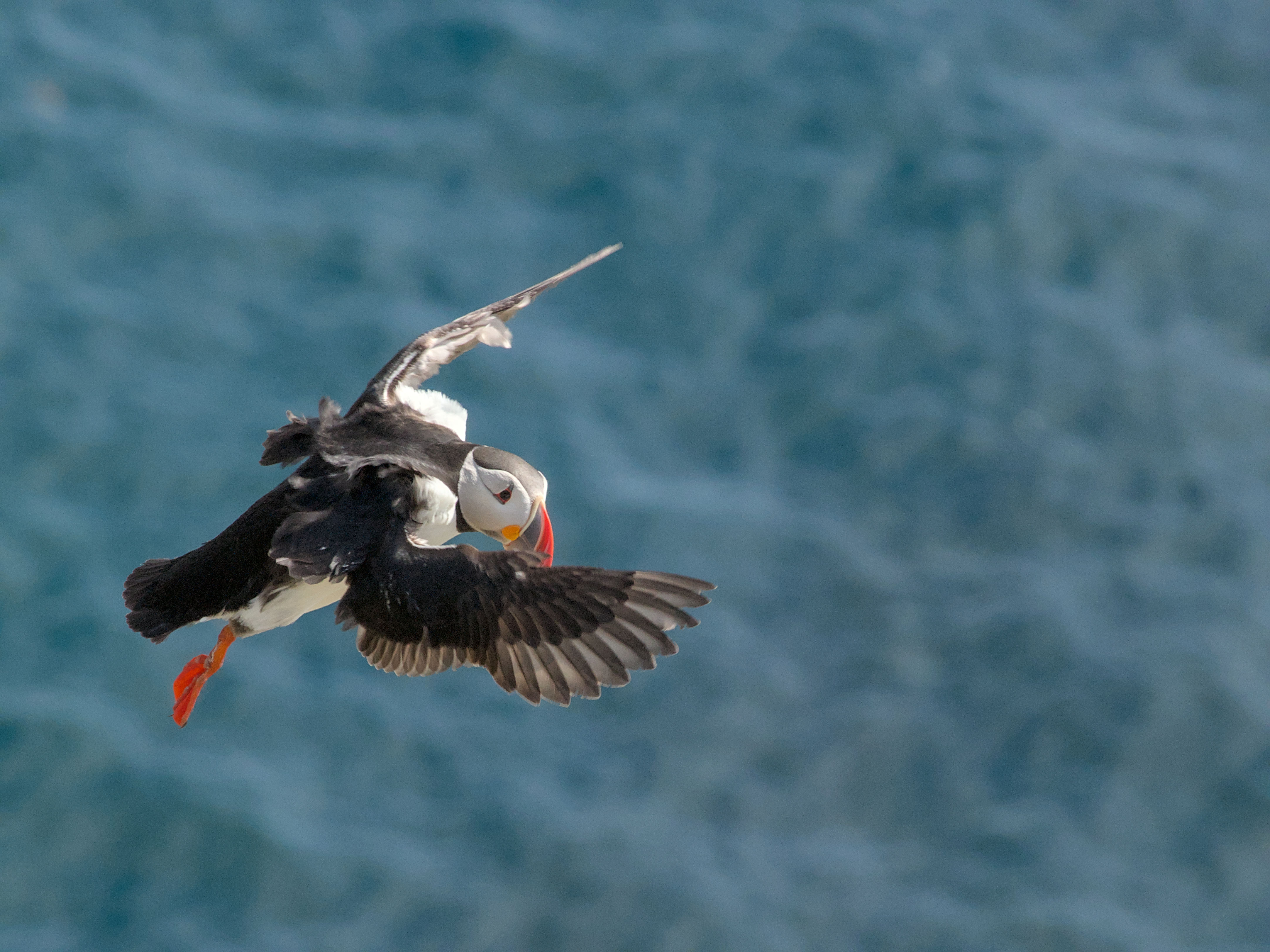 photo 5db037dc0ca47c41