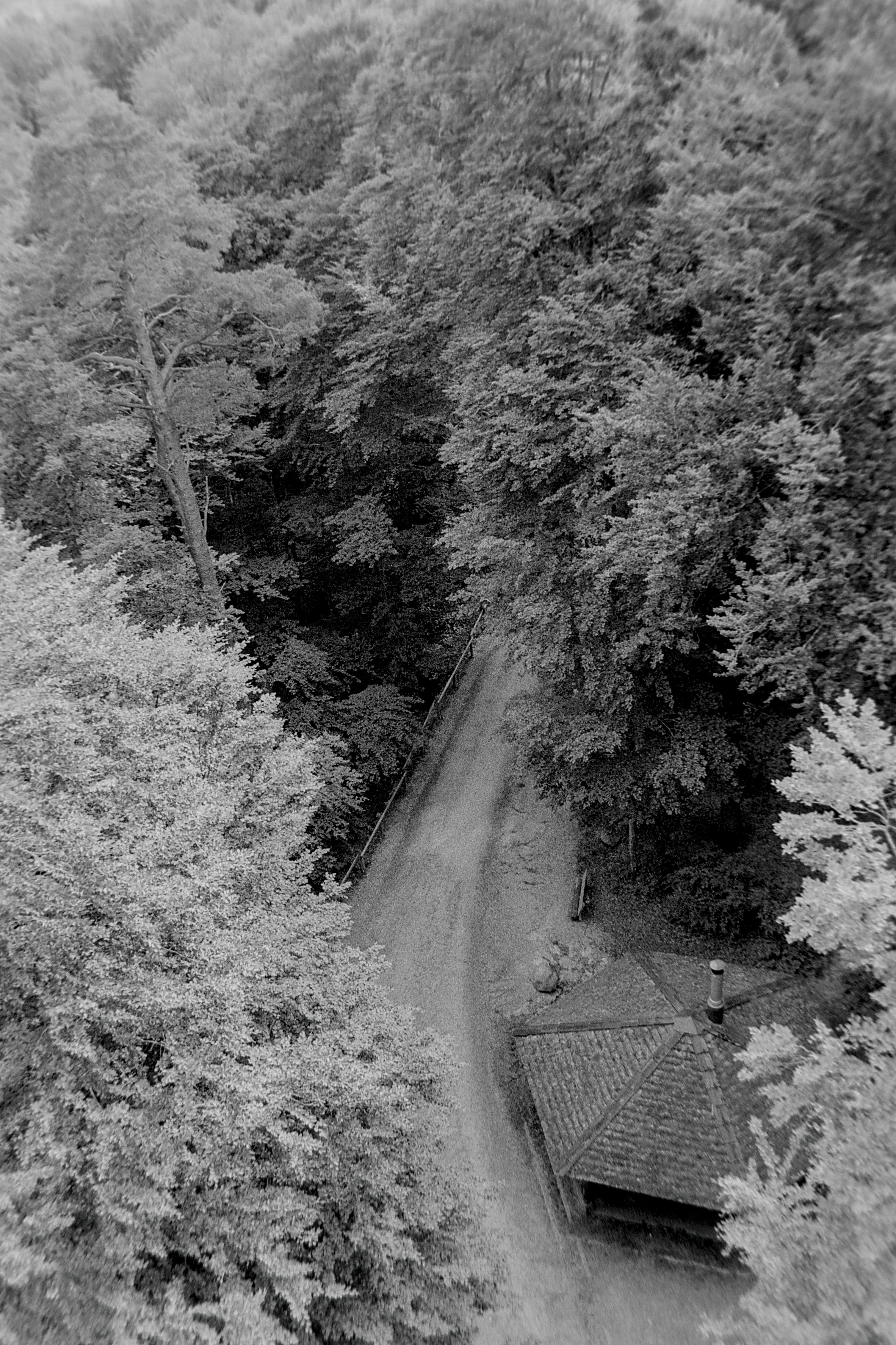 photo 5e7b06f4250121eb