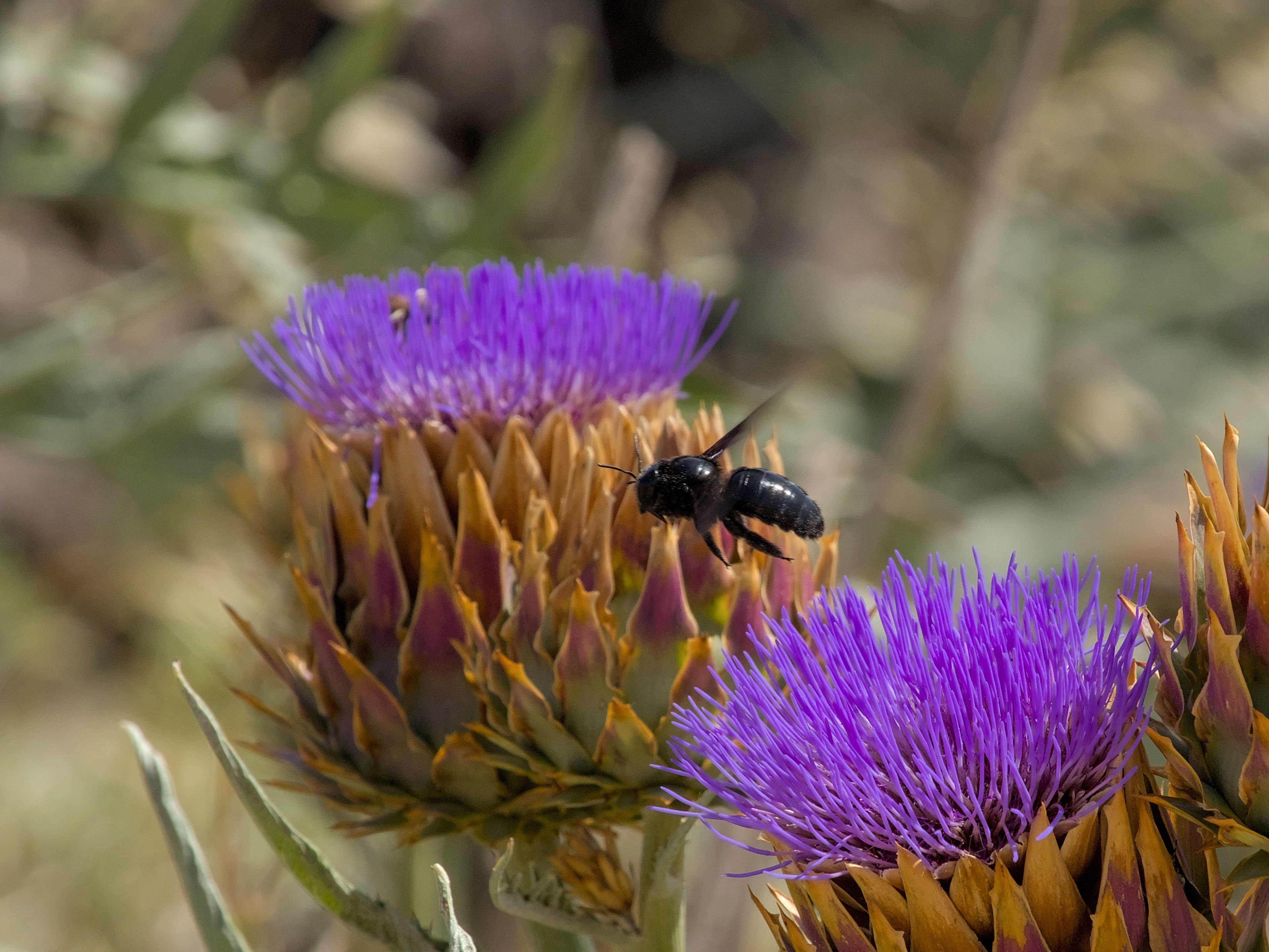 photo 67066ff12013a8a0