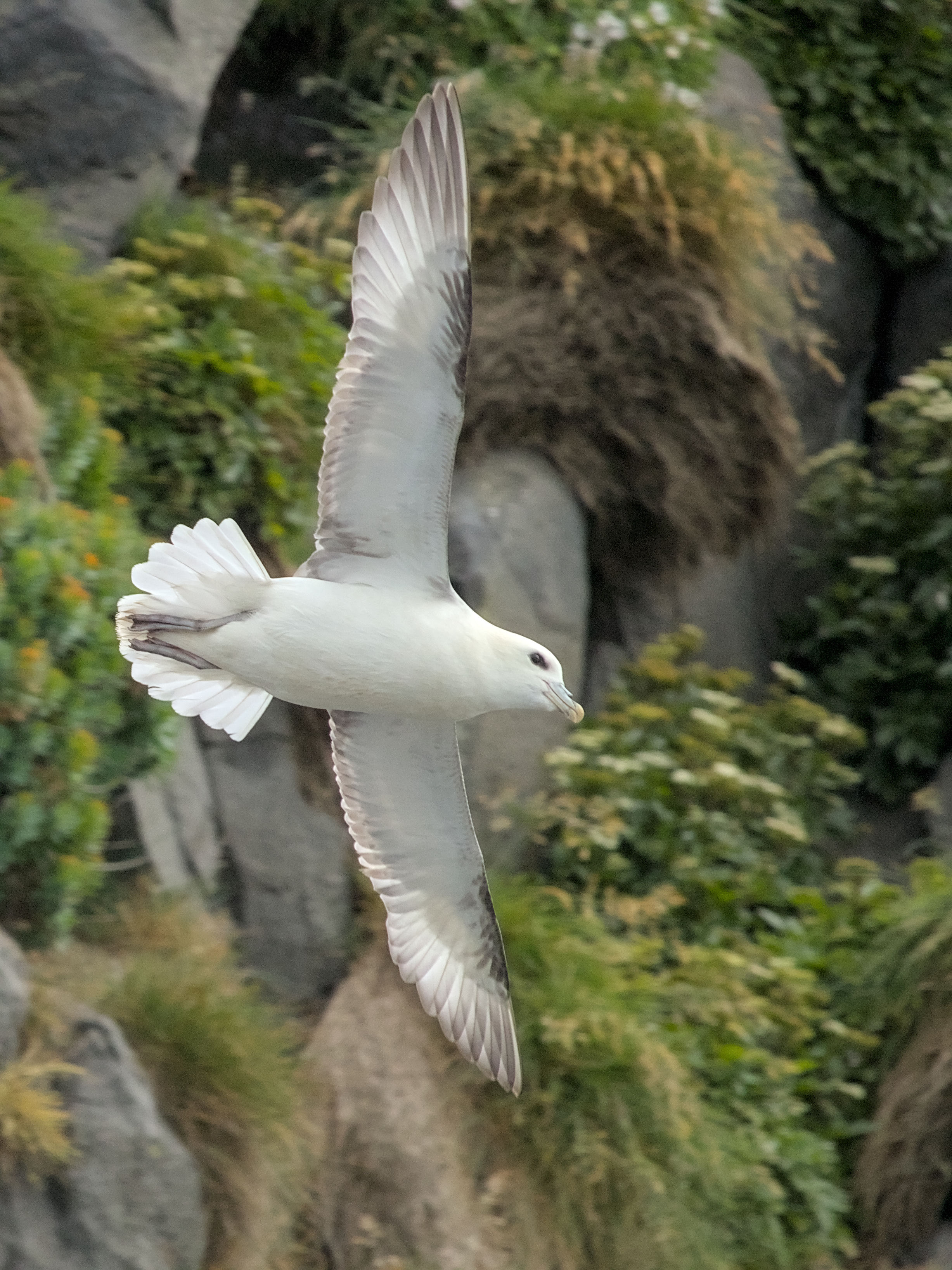 photo 69e1ad5f8f1f3516