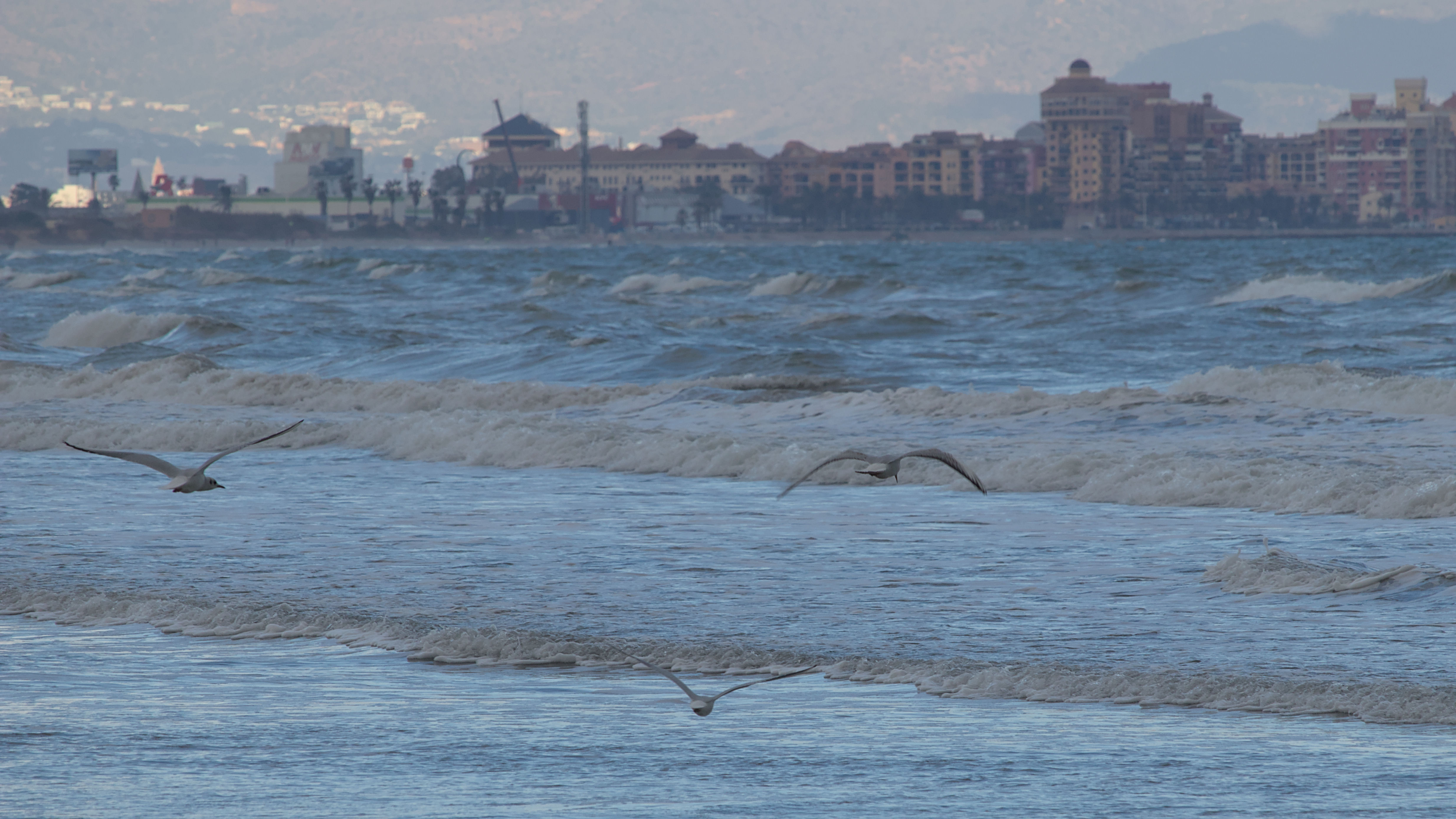 photo 6cda0729dcee2990