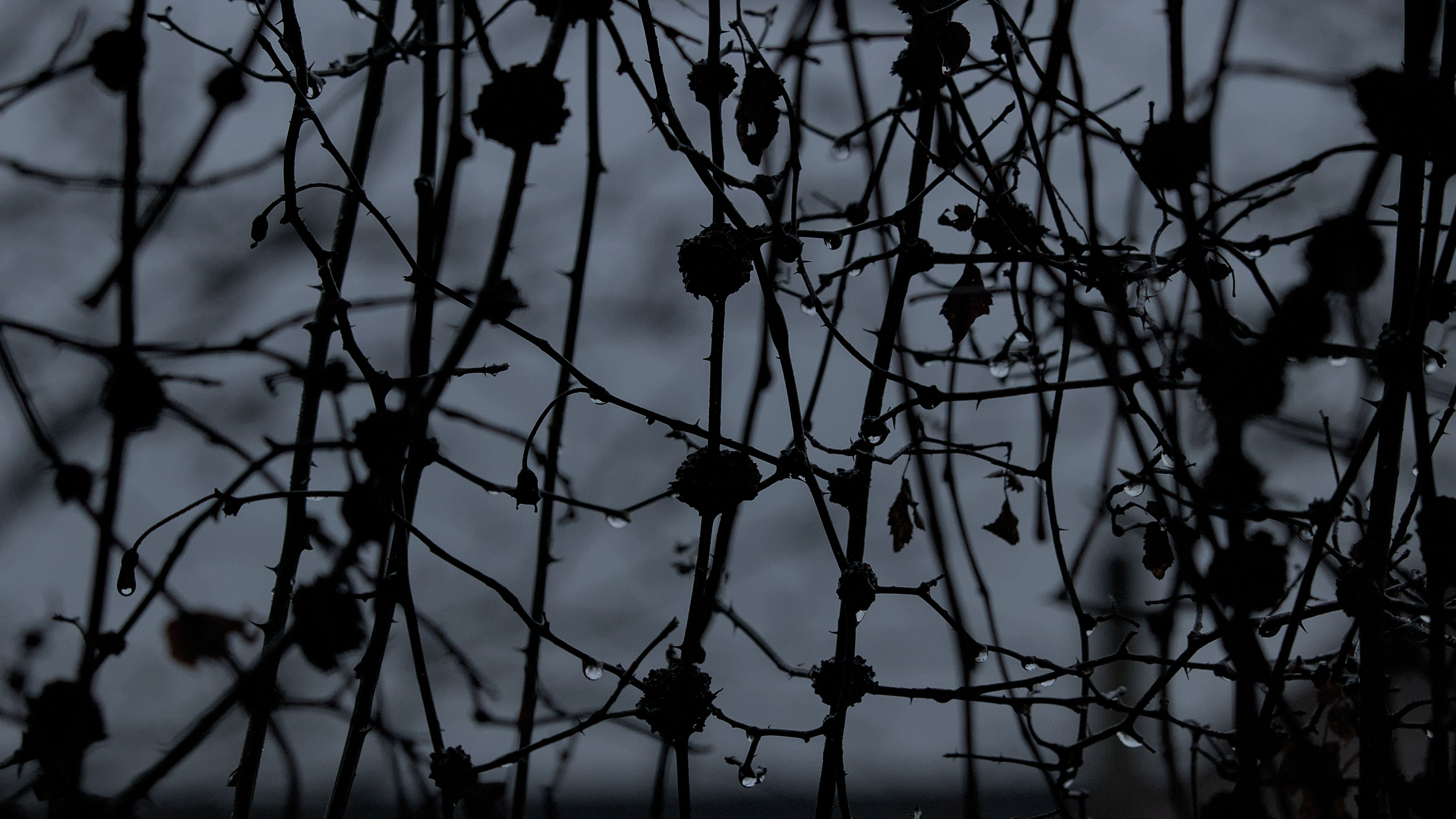 photo 6d0b5506d71a86c6