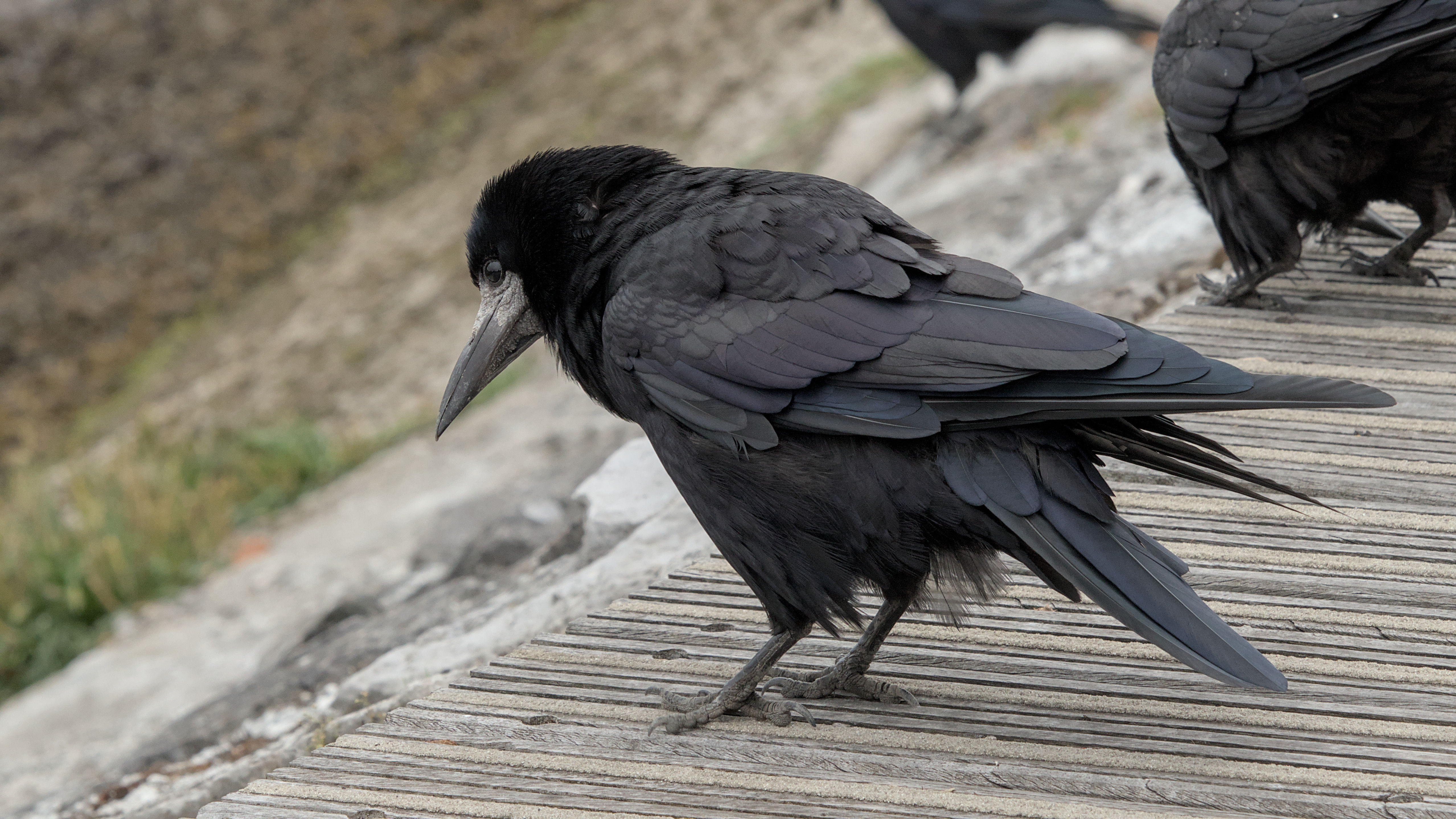 photo 6e282f7c5119a26f