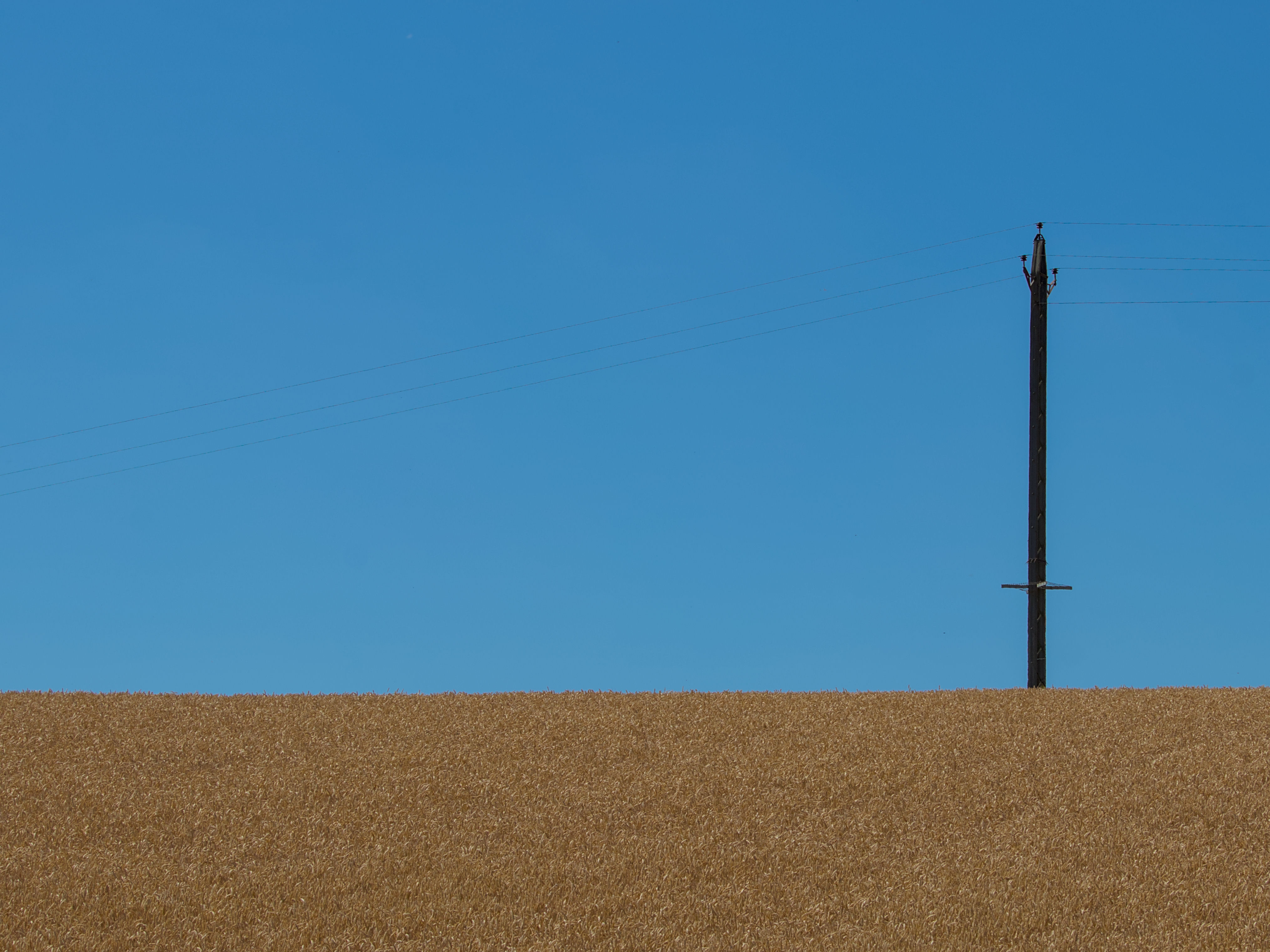 photo 70746fb8b643b869