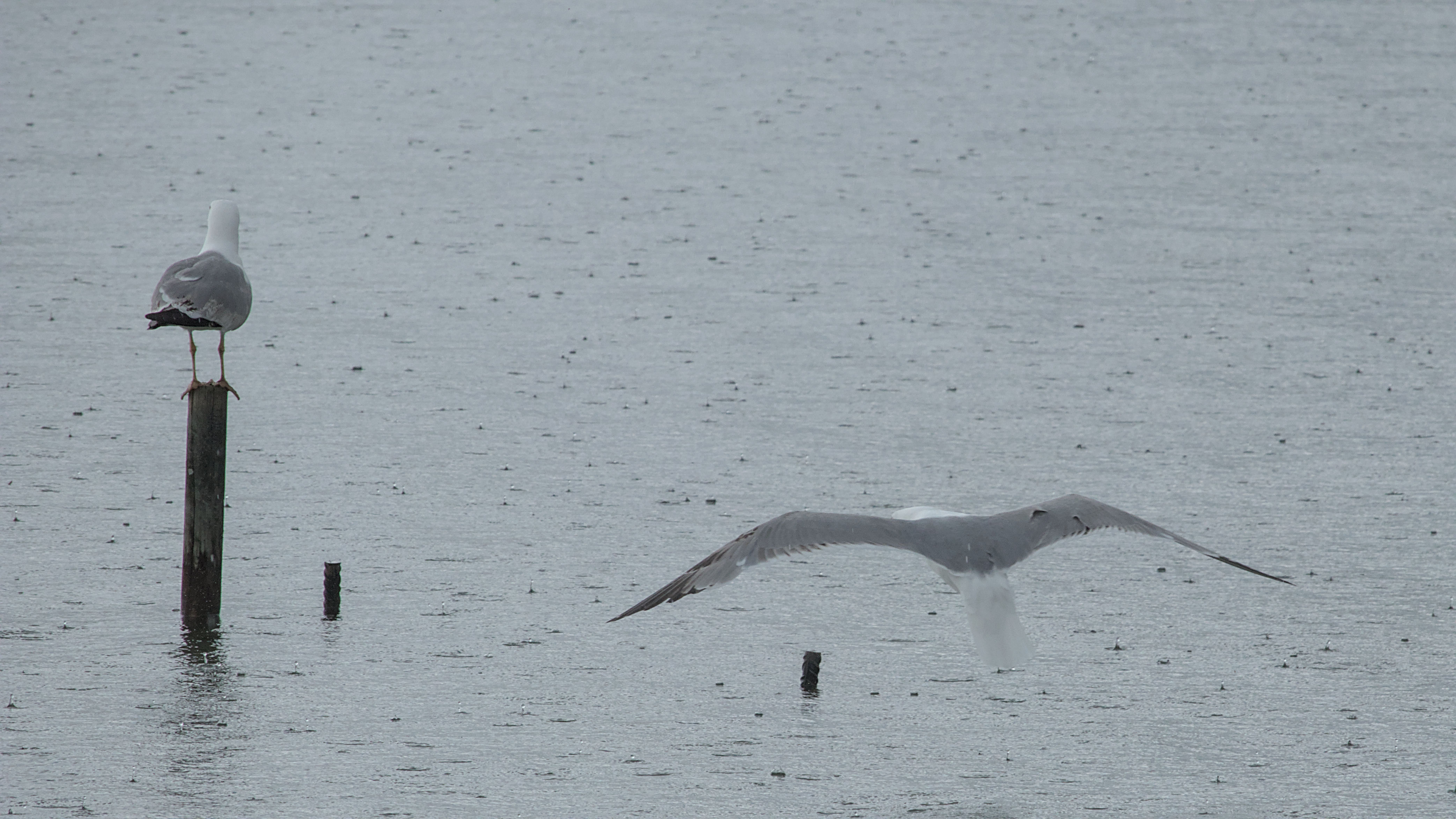 photo 74be6041caab1557