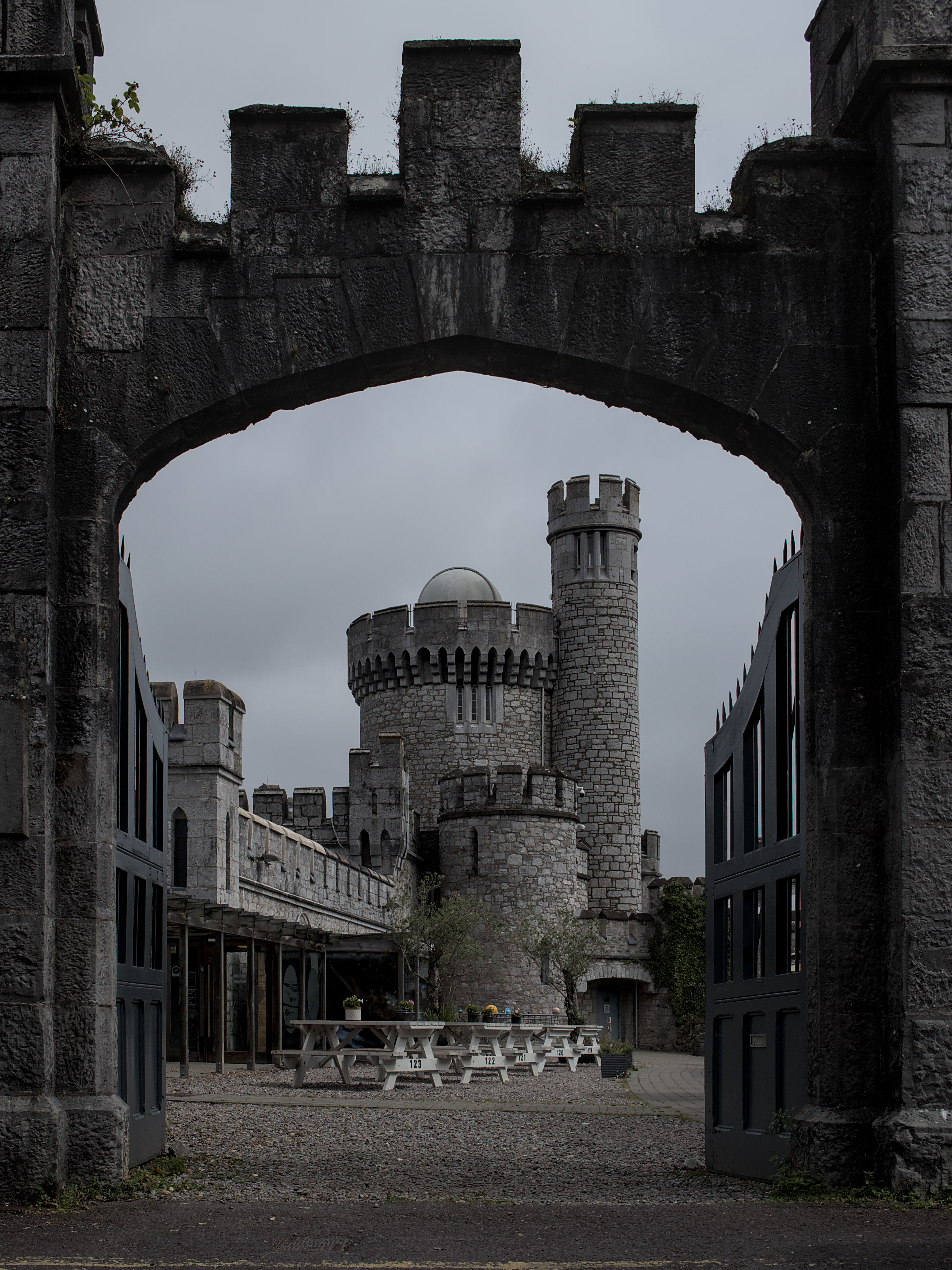 photo 79aafe8e7beef26b