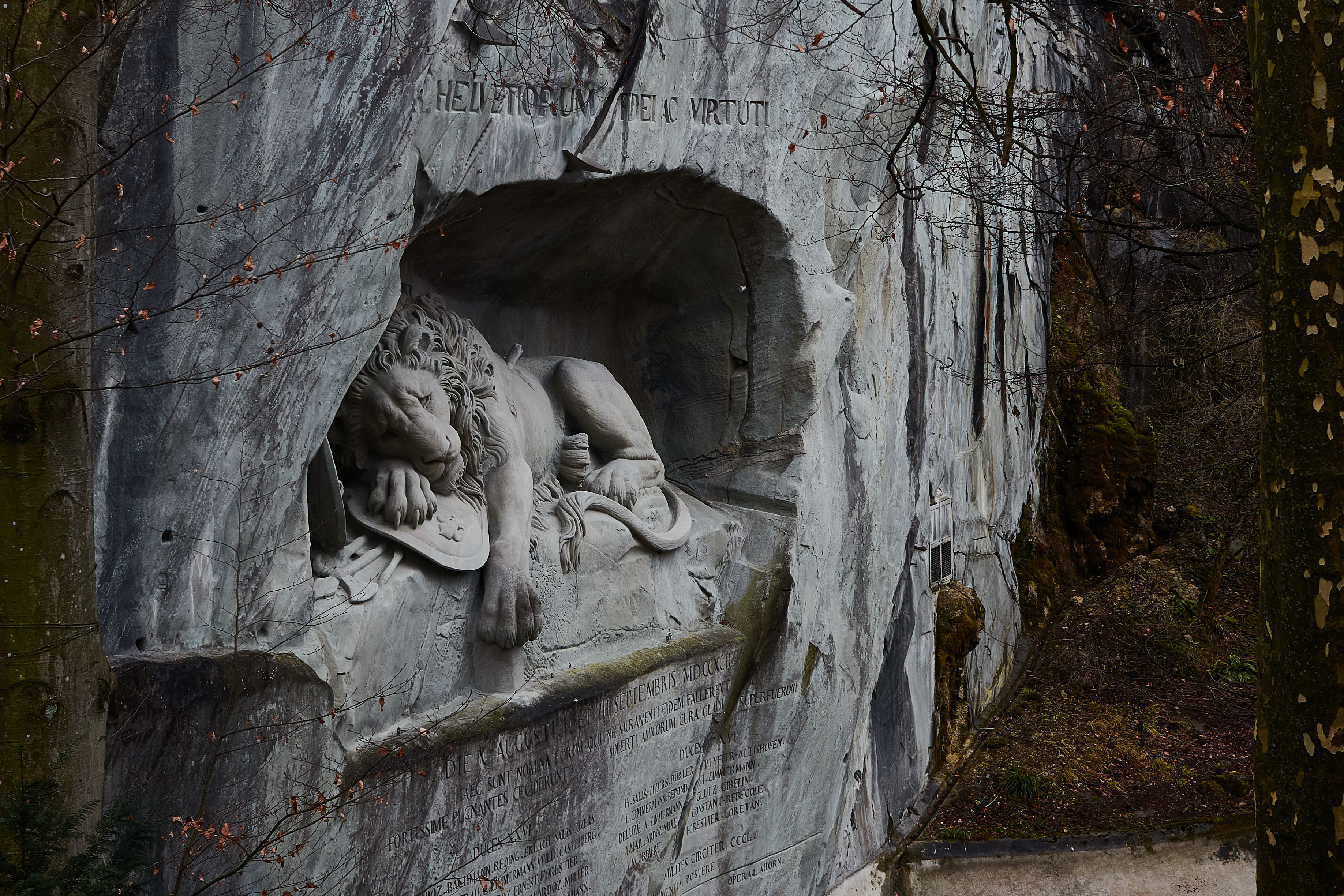 photo 7a5a571af5438572