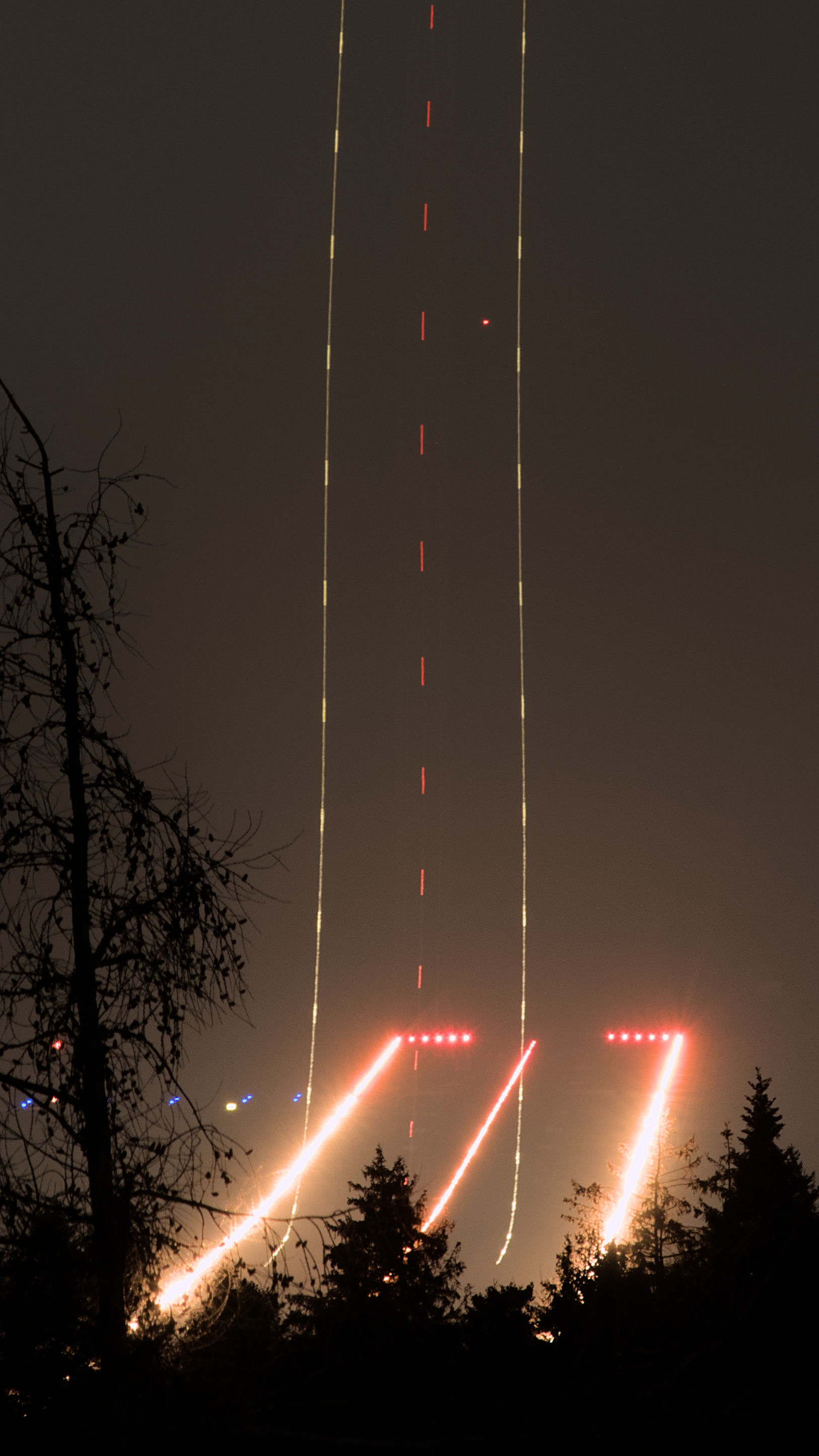 photo 7ad8be4d5744679a