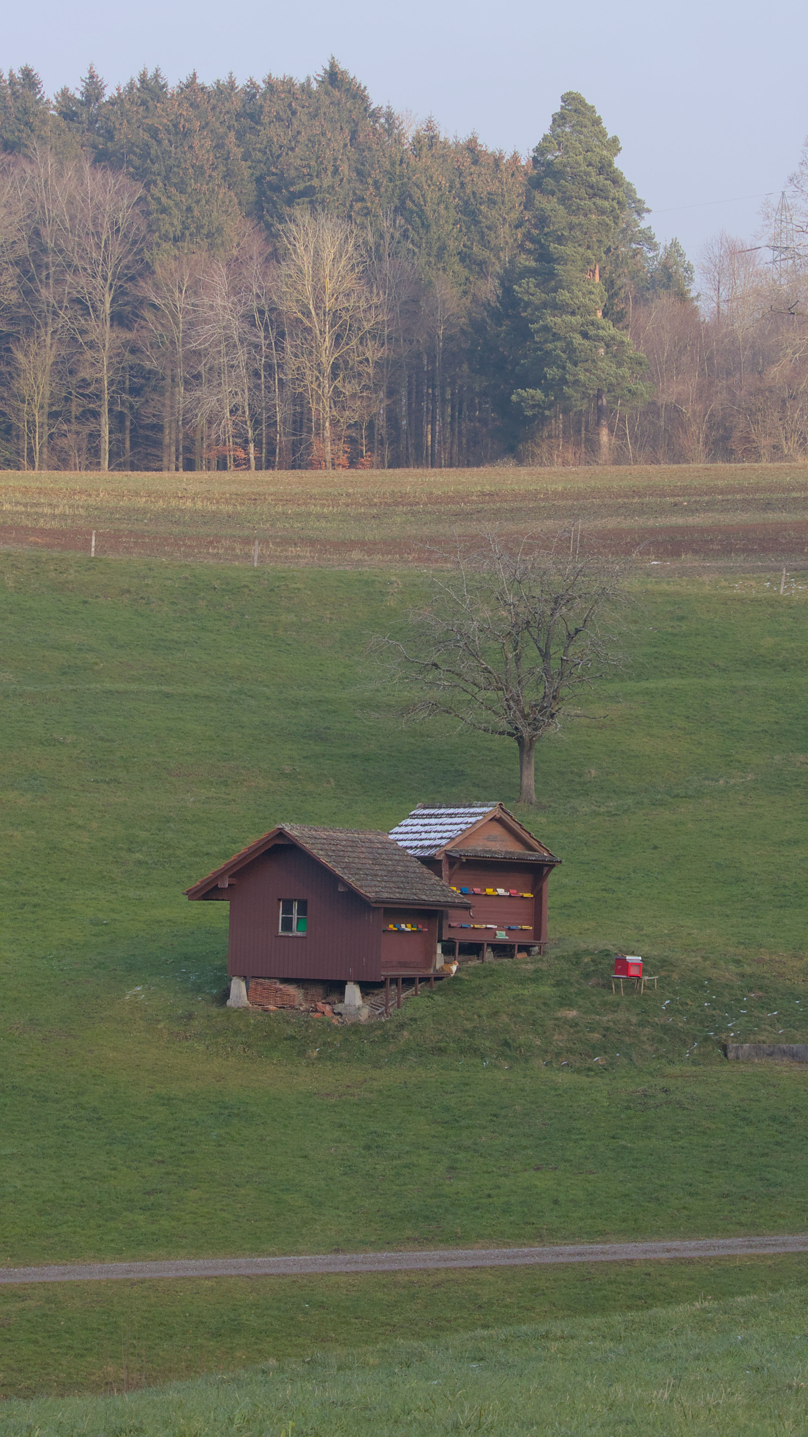 photo 7b69fa782e689666