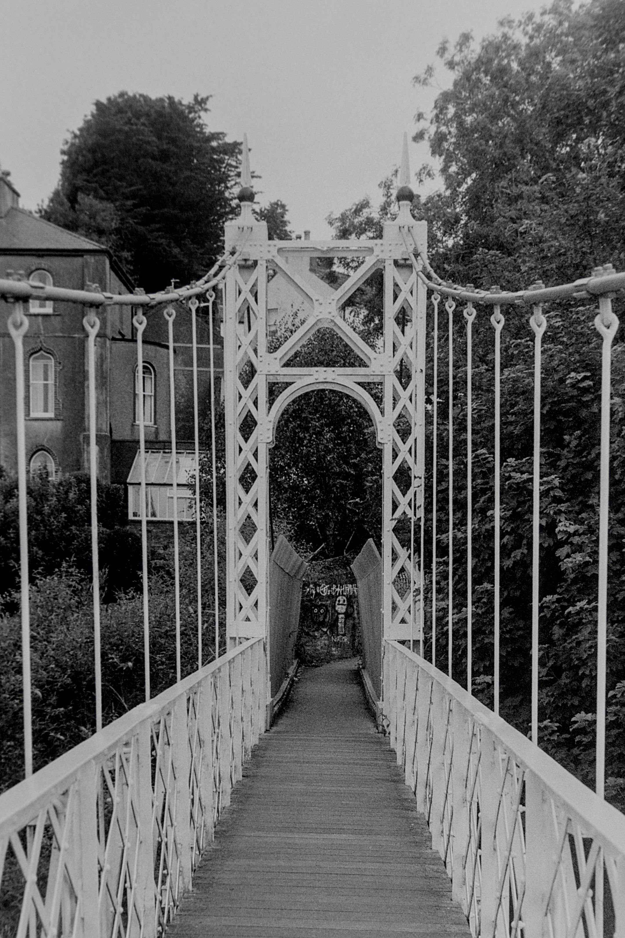 photo 81bf10697d2ddf65