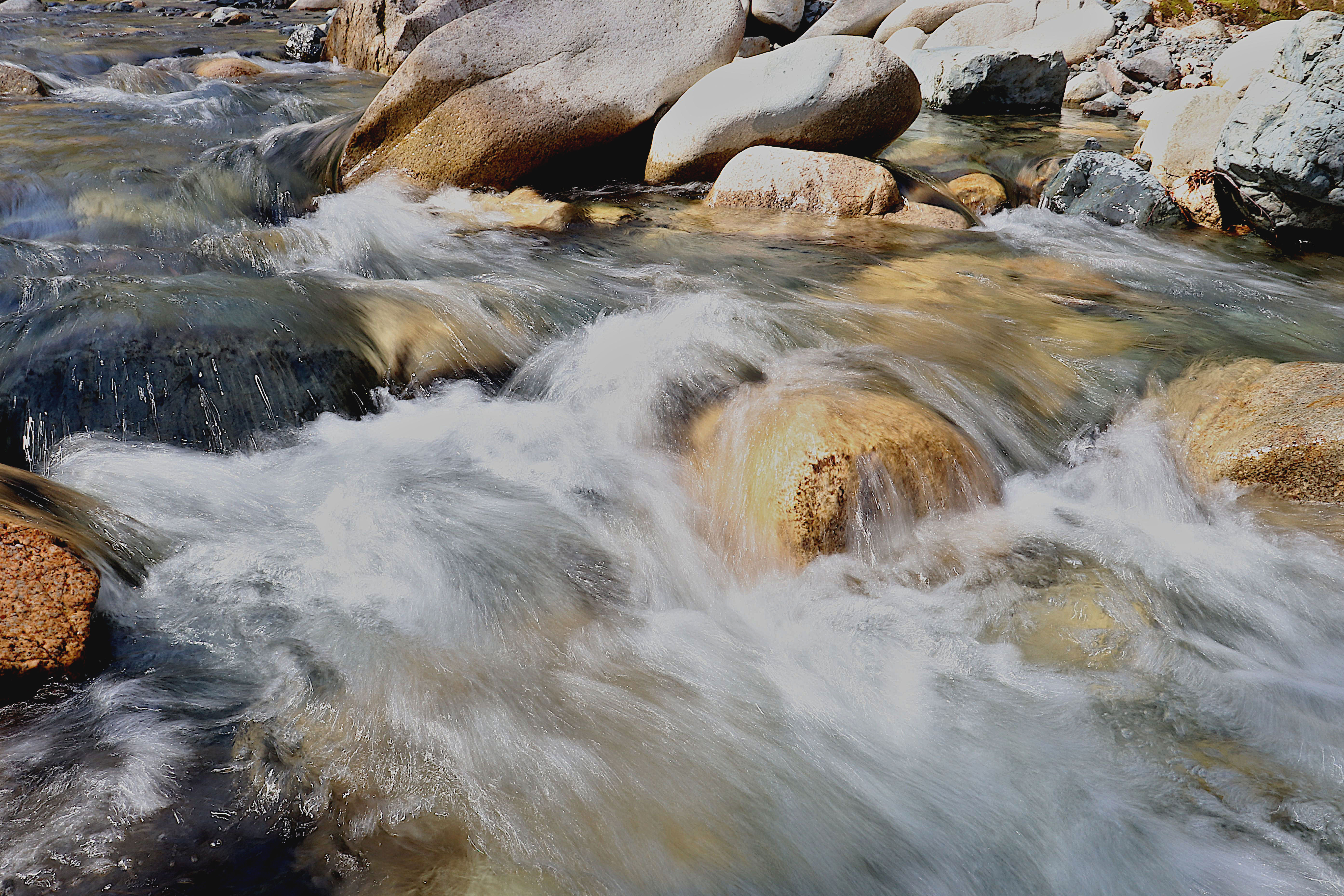 photo 82288c31d80ca591