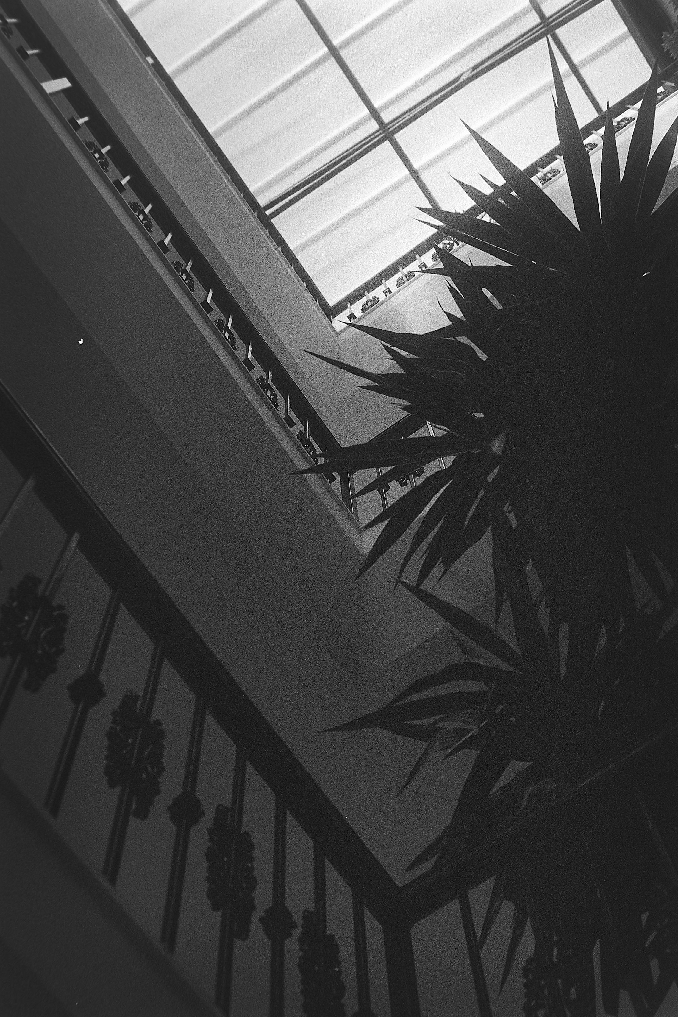 photo 85093d656d479d05