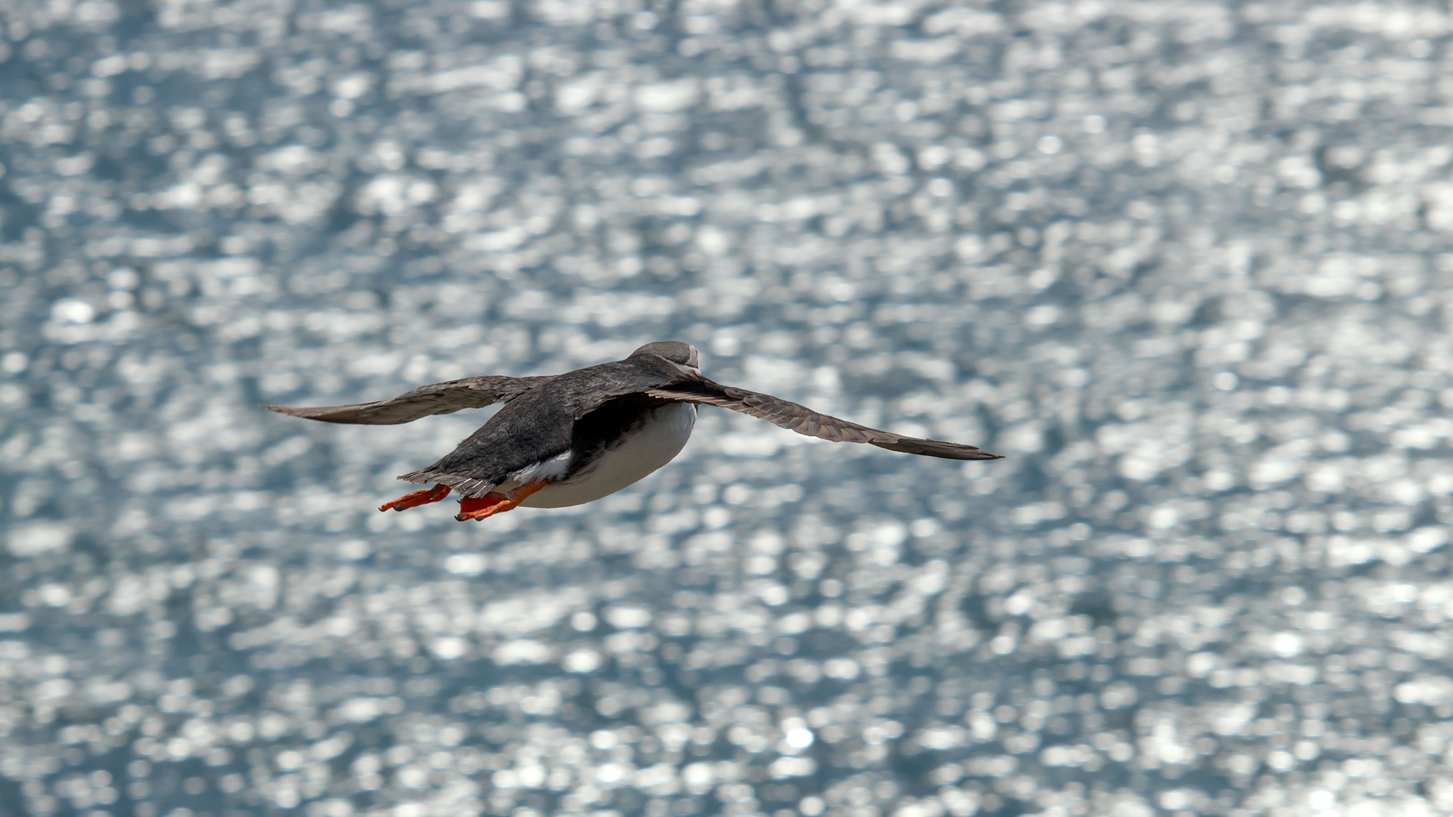 photo 853cef5c5ef56bd9