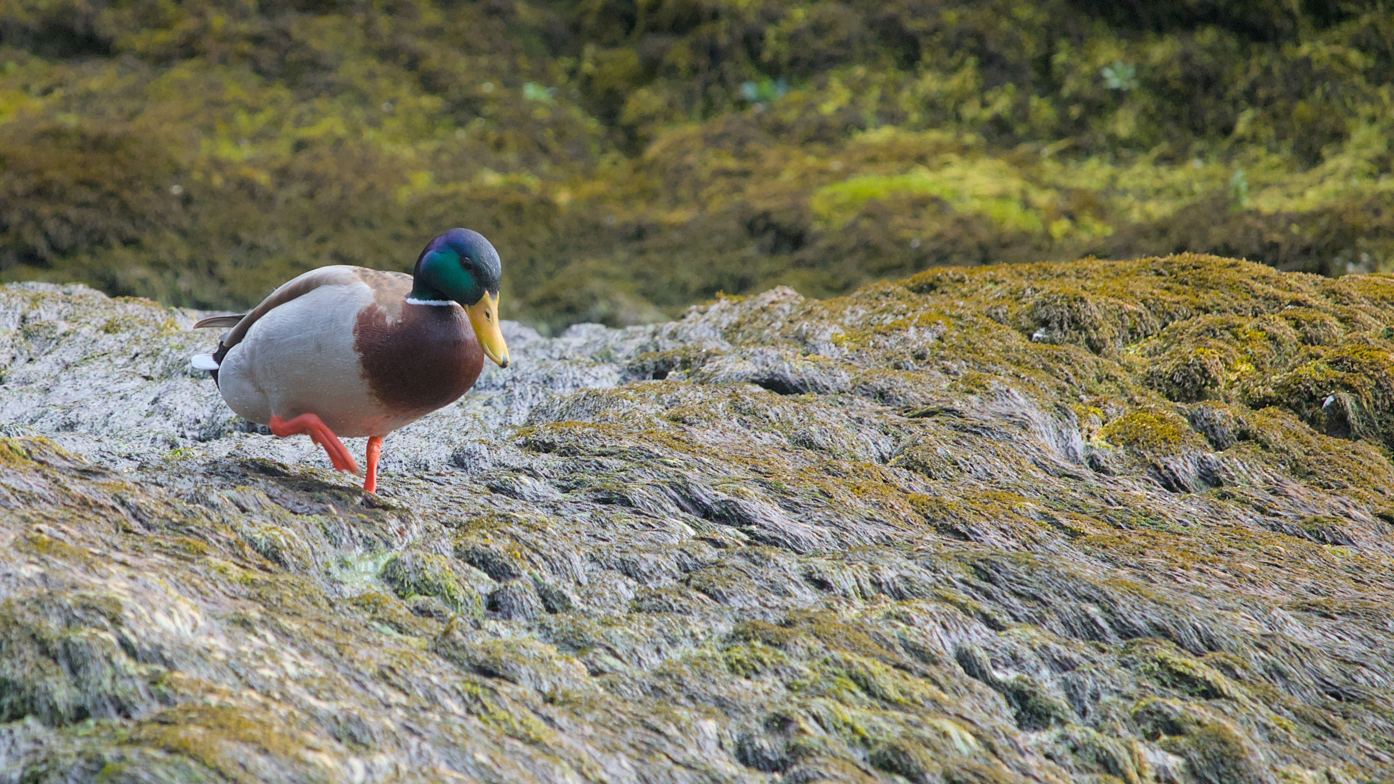 photo 854d8ca5f38cfa56